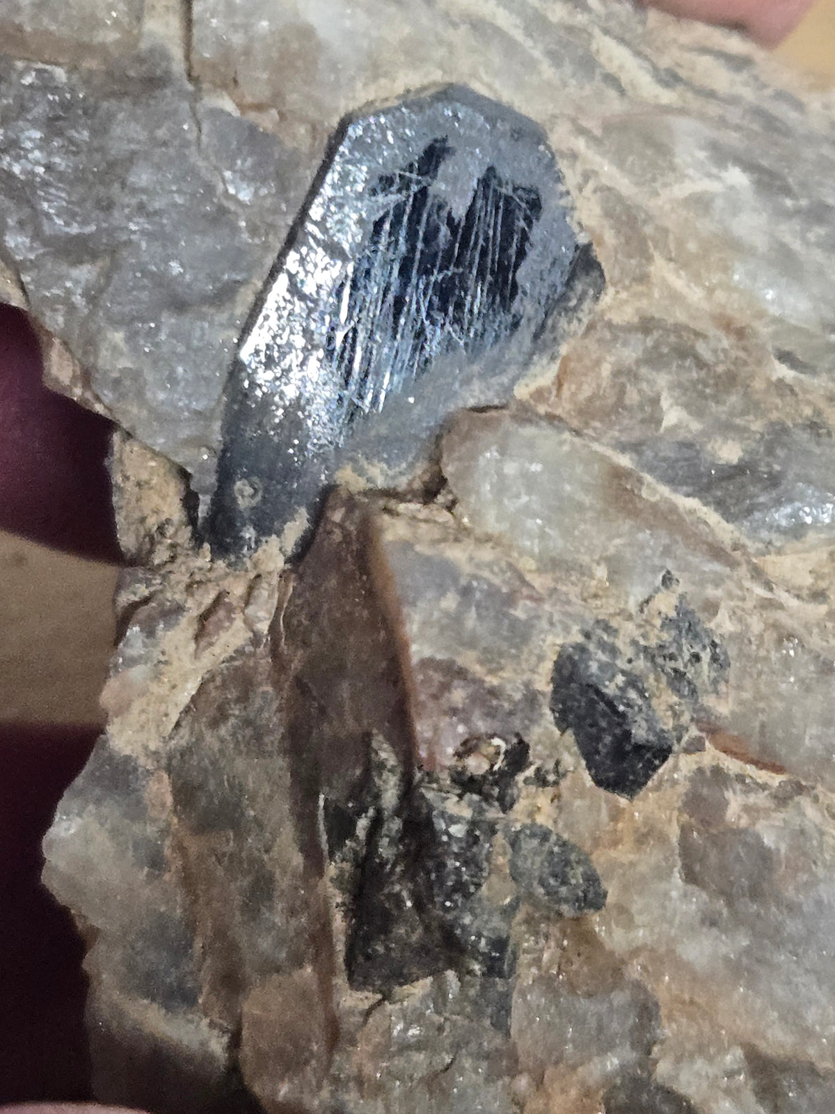 Columbite specimen