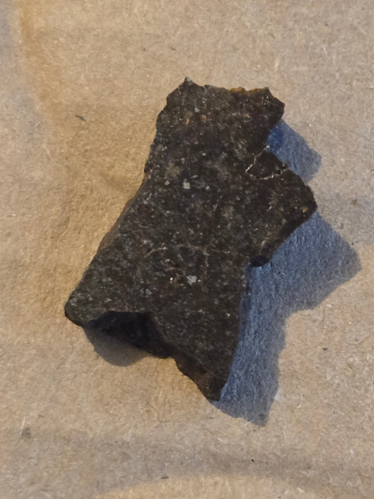 NWA 12346 Meteorite