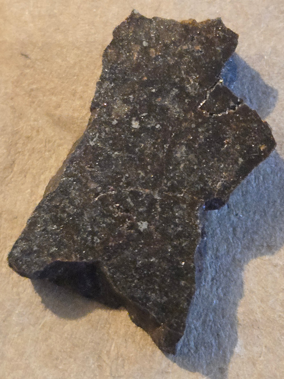 NWA 12346 Meteorite