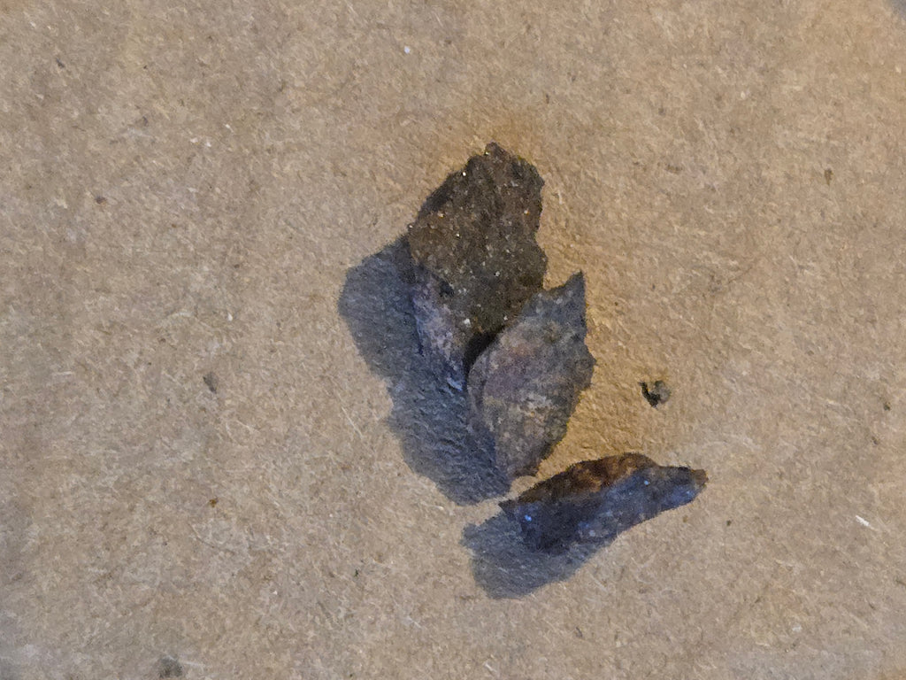 NWA 12350 Meteorite lot