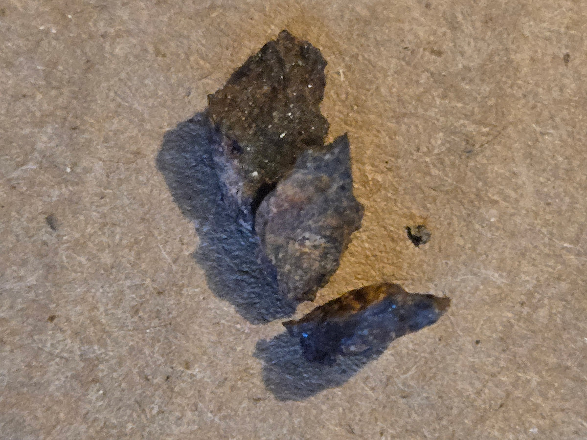 NWA 12350 Meteorite lot