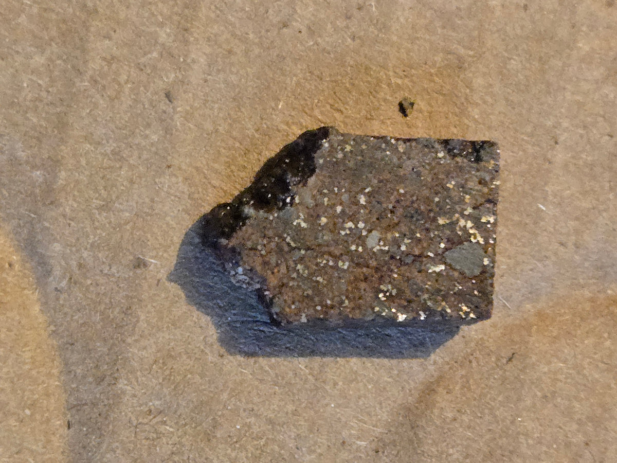 NWA 14395 Meteorite