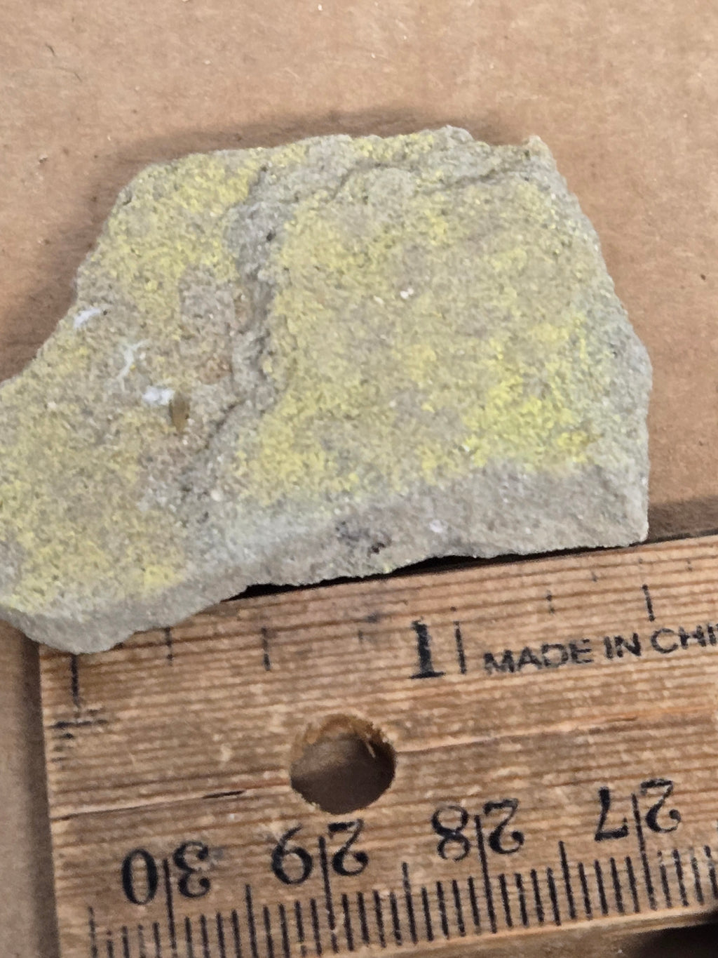 Carnotite specimen