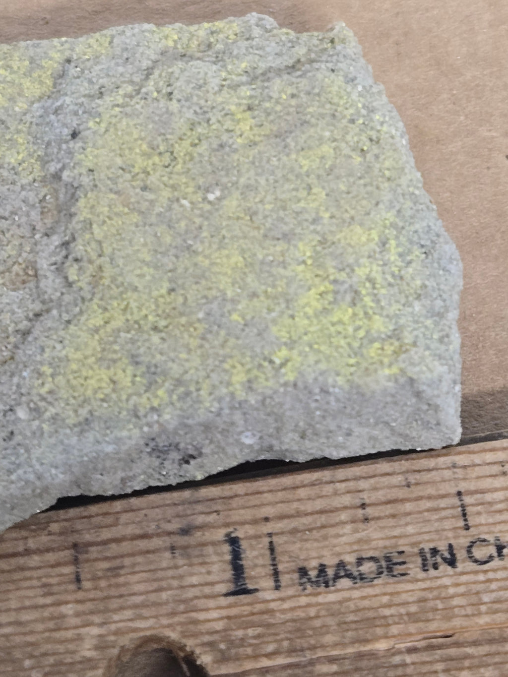 Carnotite specimen