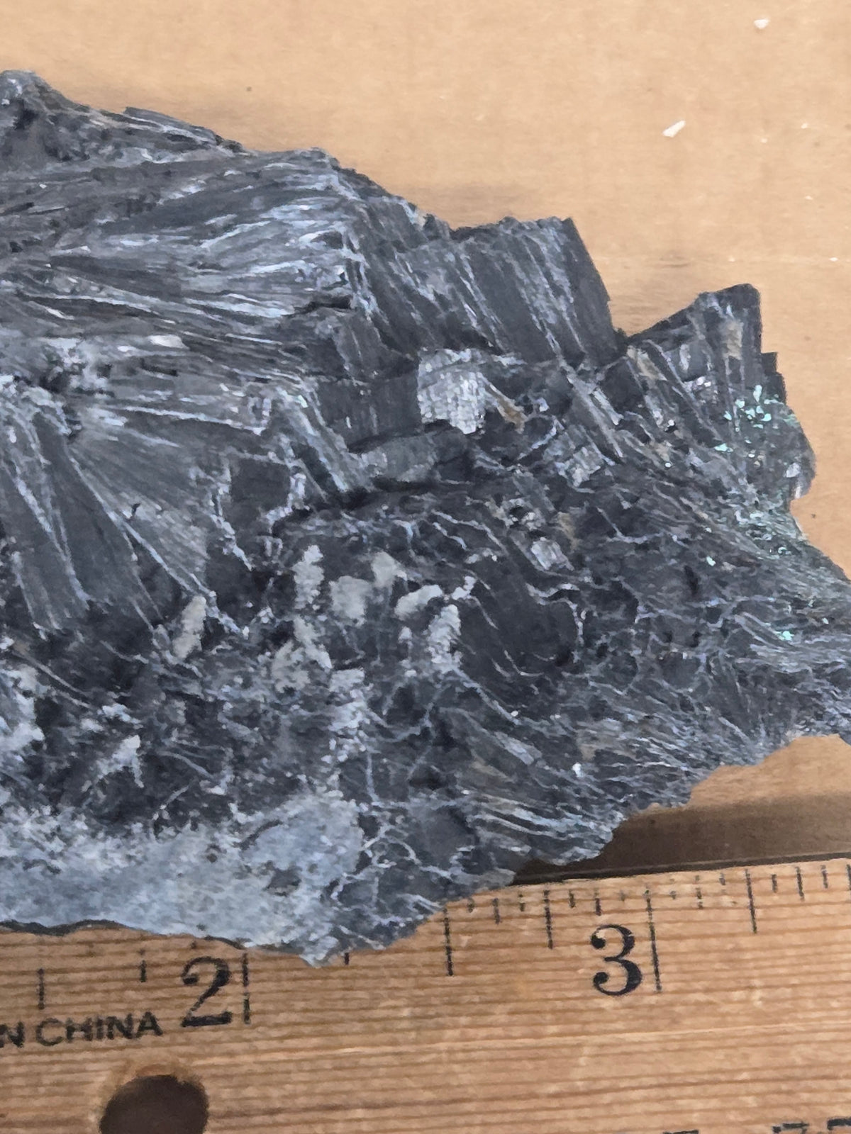 Ludwigite