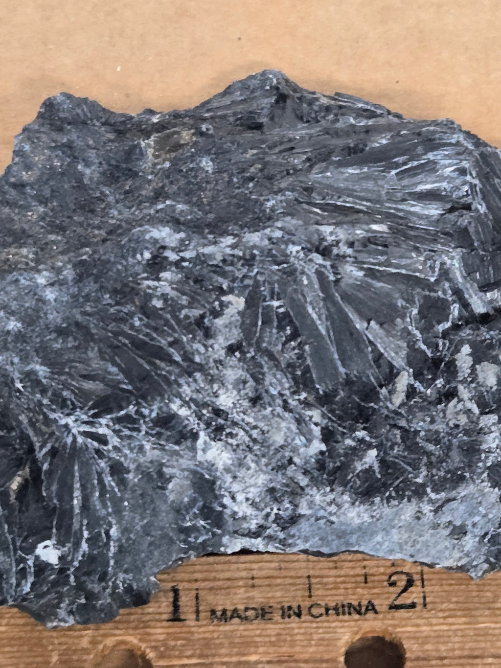 Ludwigite