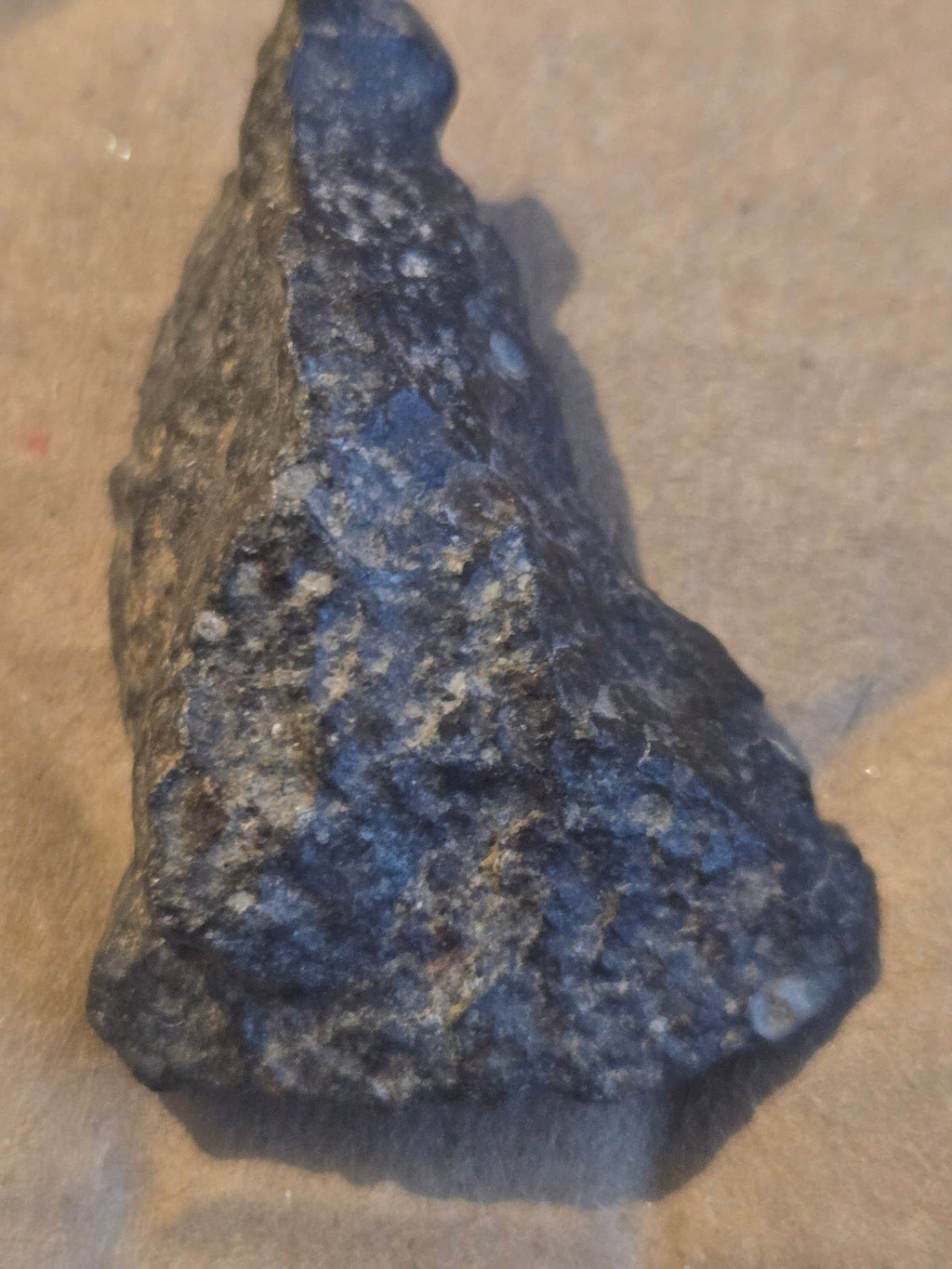 NWA 869 Meteorite