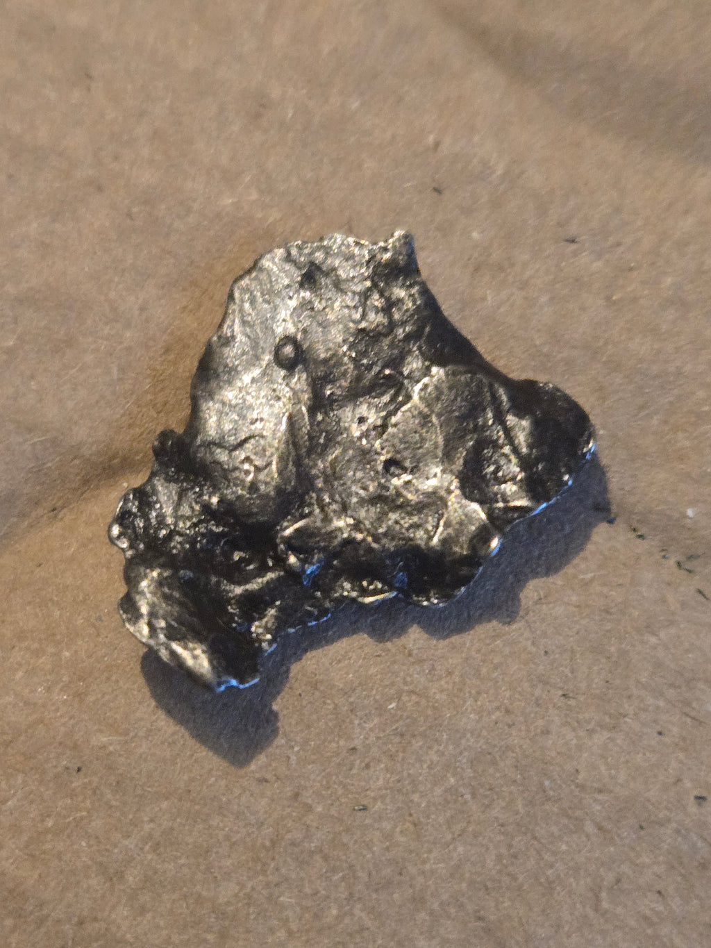 Sikhote Alin meteorite specimen
