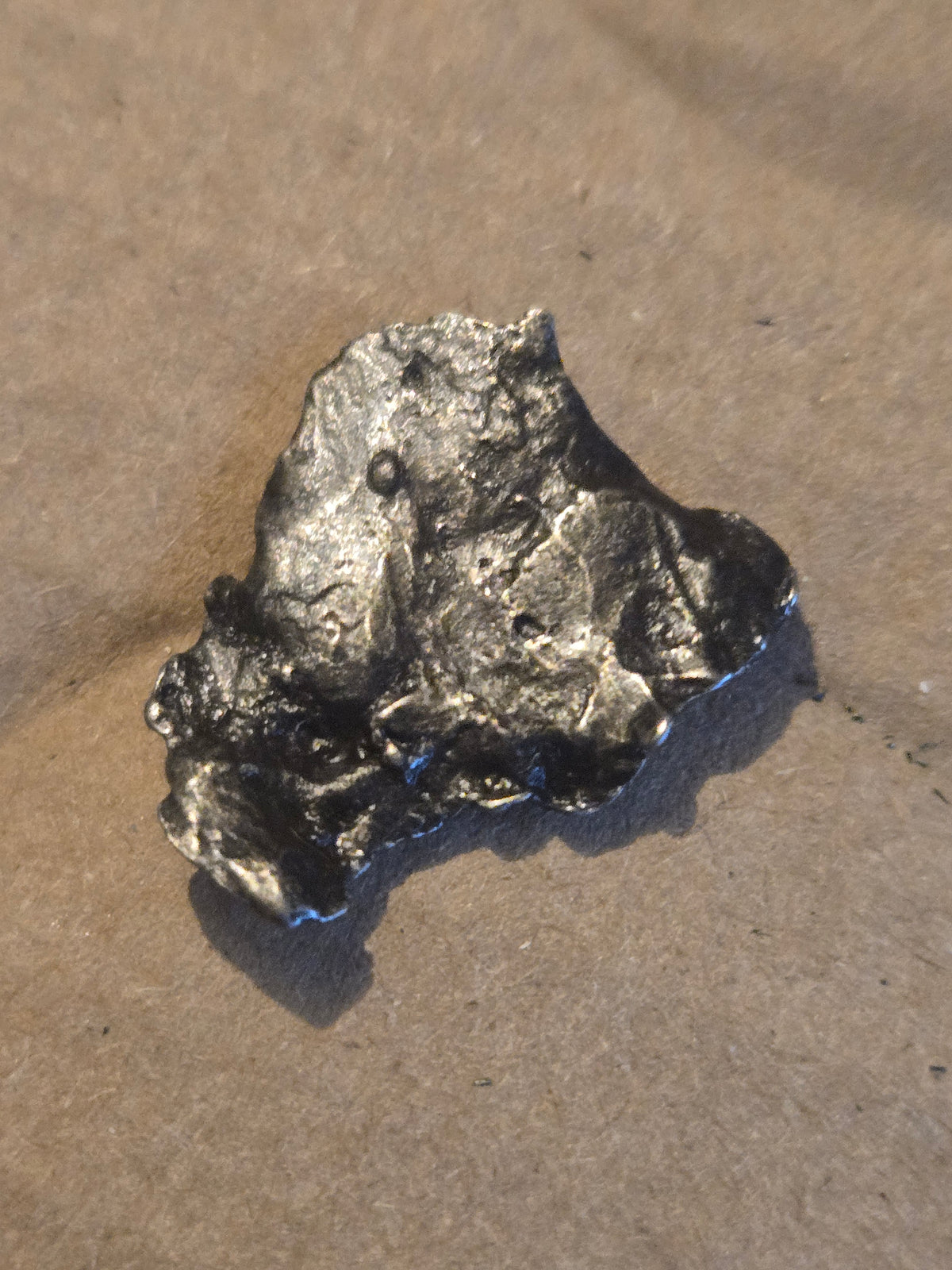 Sikhote Alin meteorite specimen