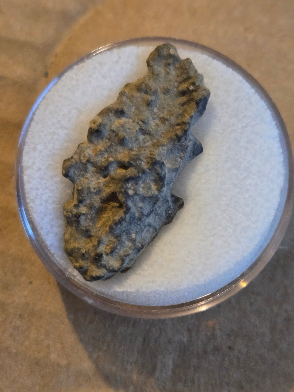 NWA 16003 Meteorite