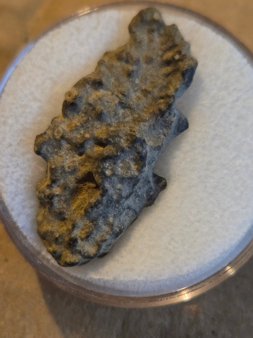 NWA 16003 Meteorite