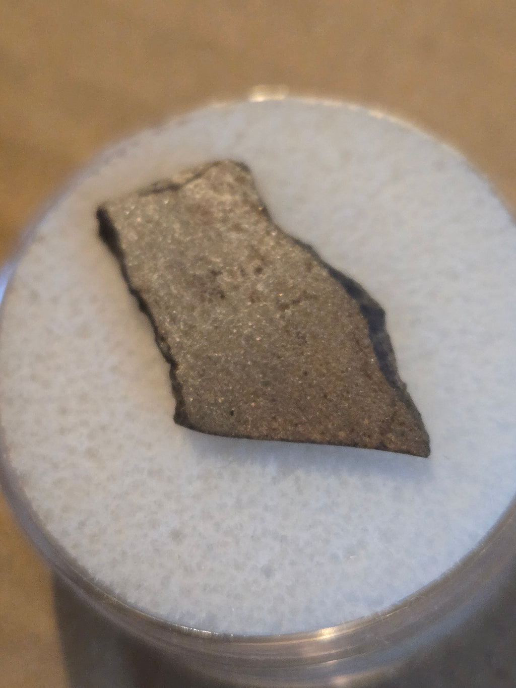 NWA 7018 Meteorite