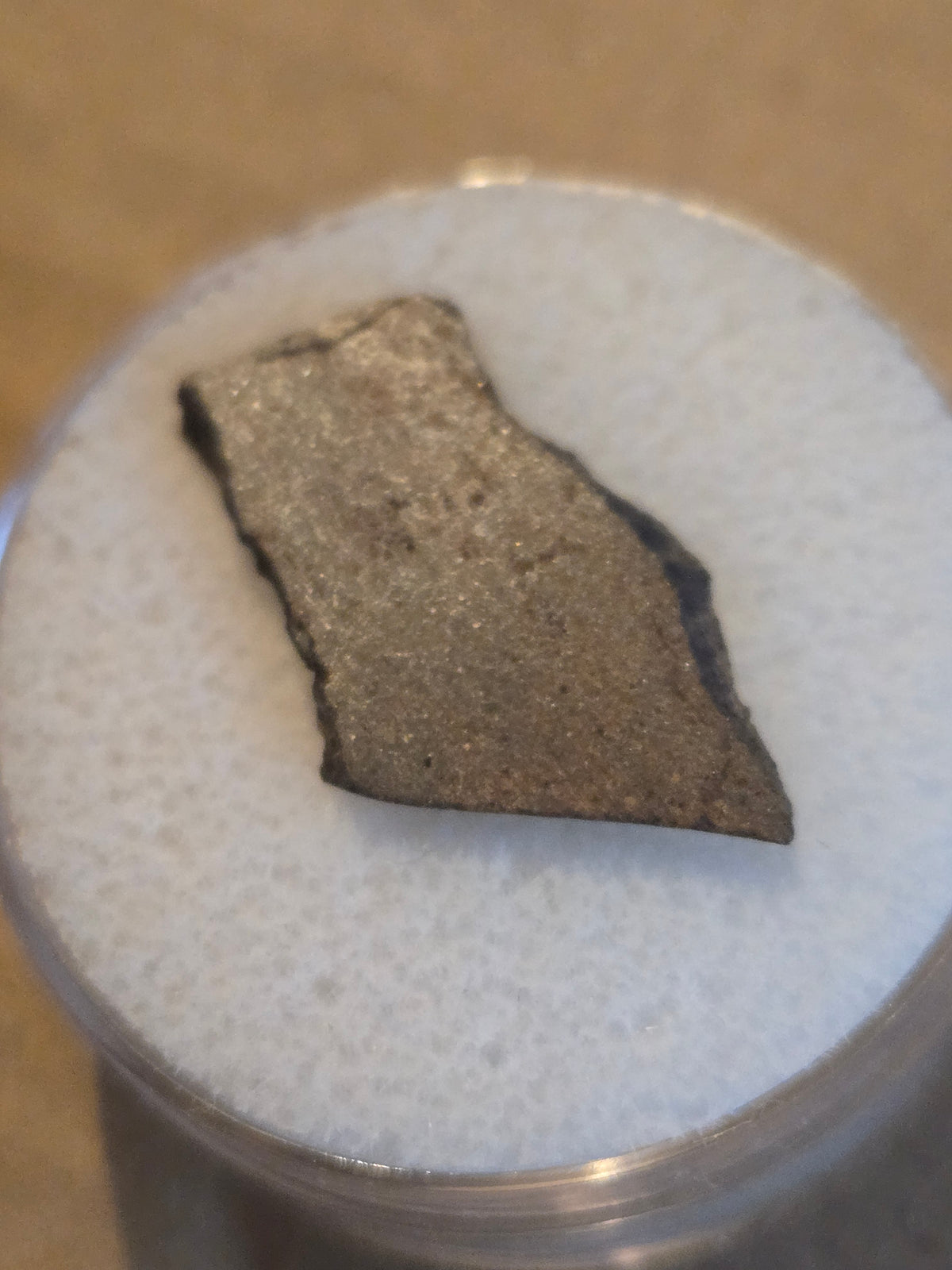 NWA 7018 Meteorite