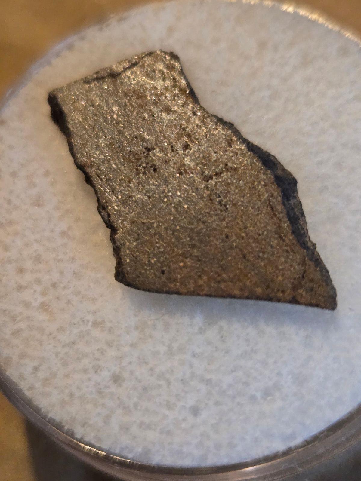 NWA 7018 Meteorite