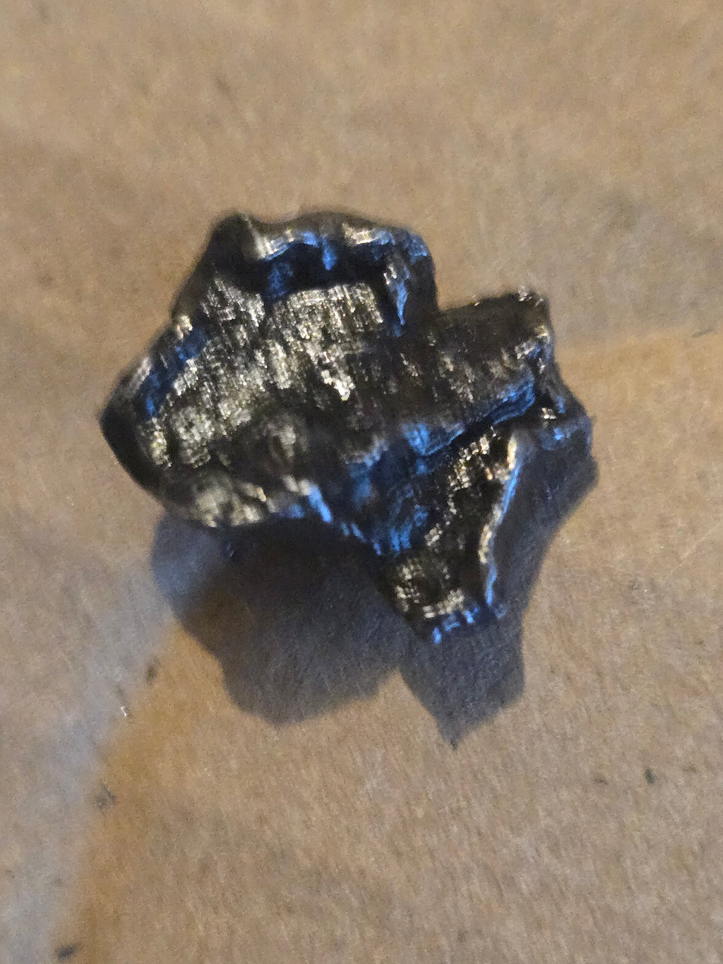 Sikhote Alin meteorite specimen
