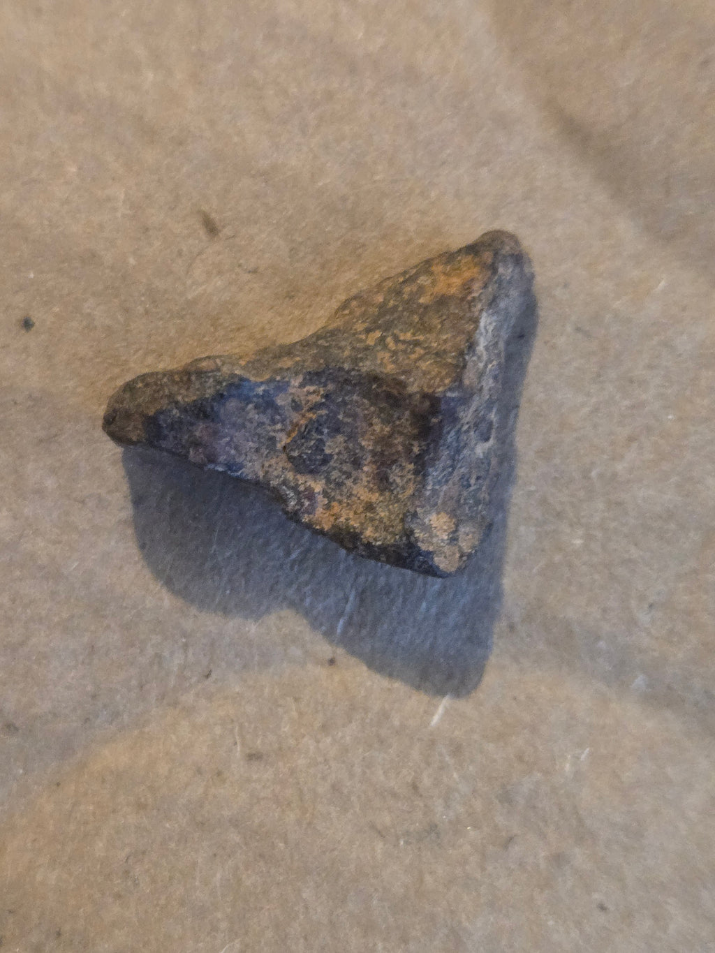 Agoudal meteorite