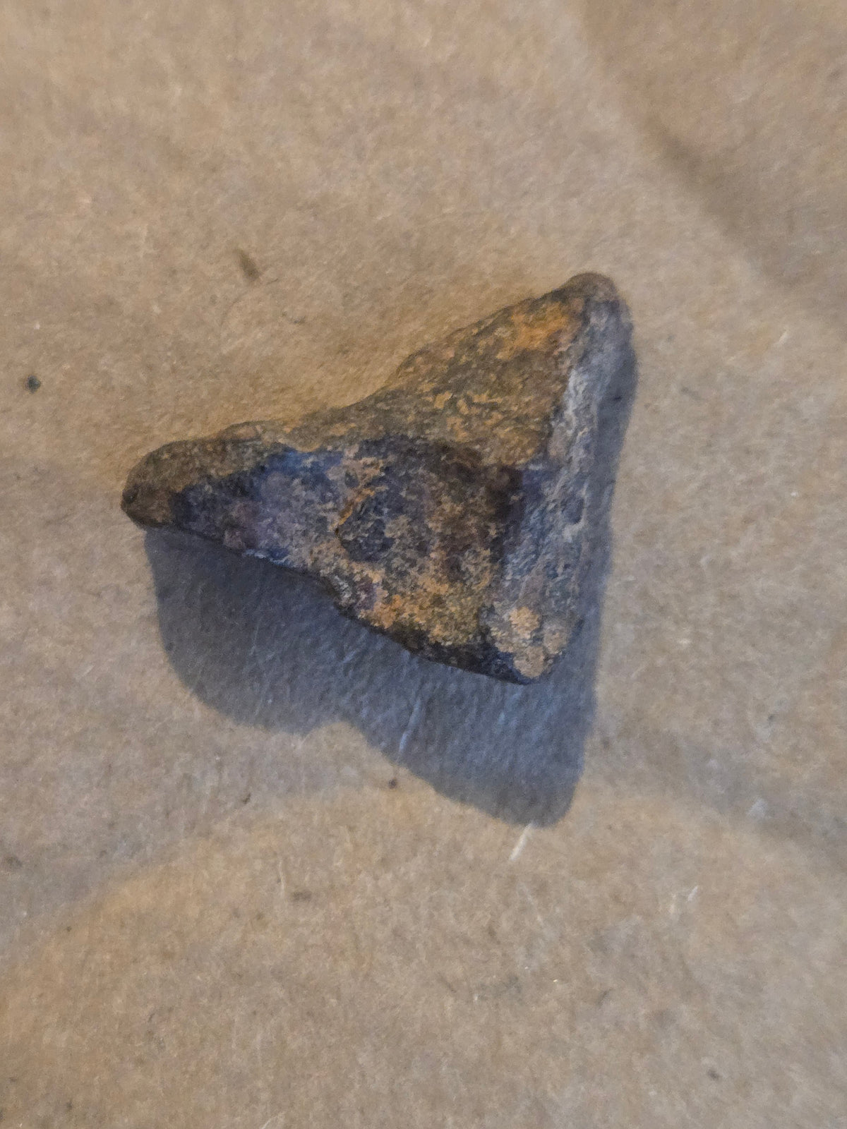 Agoudal meteorite