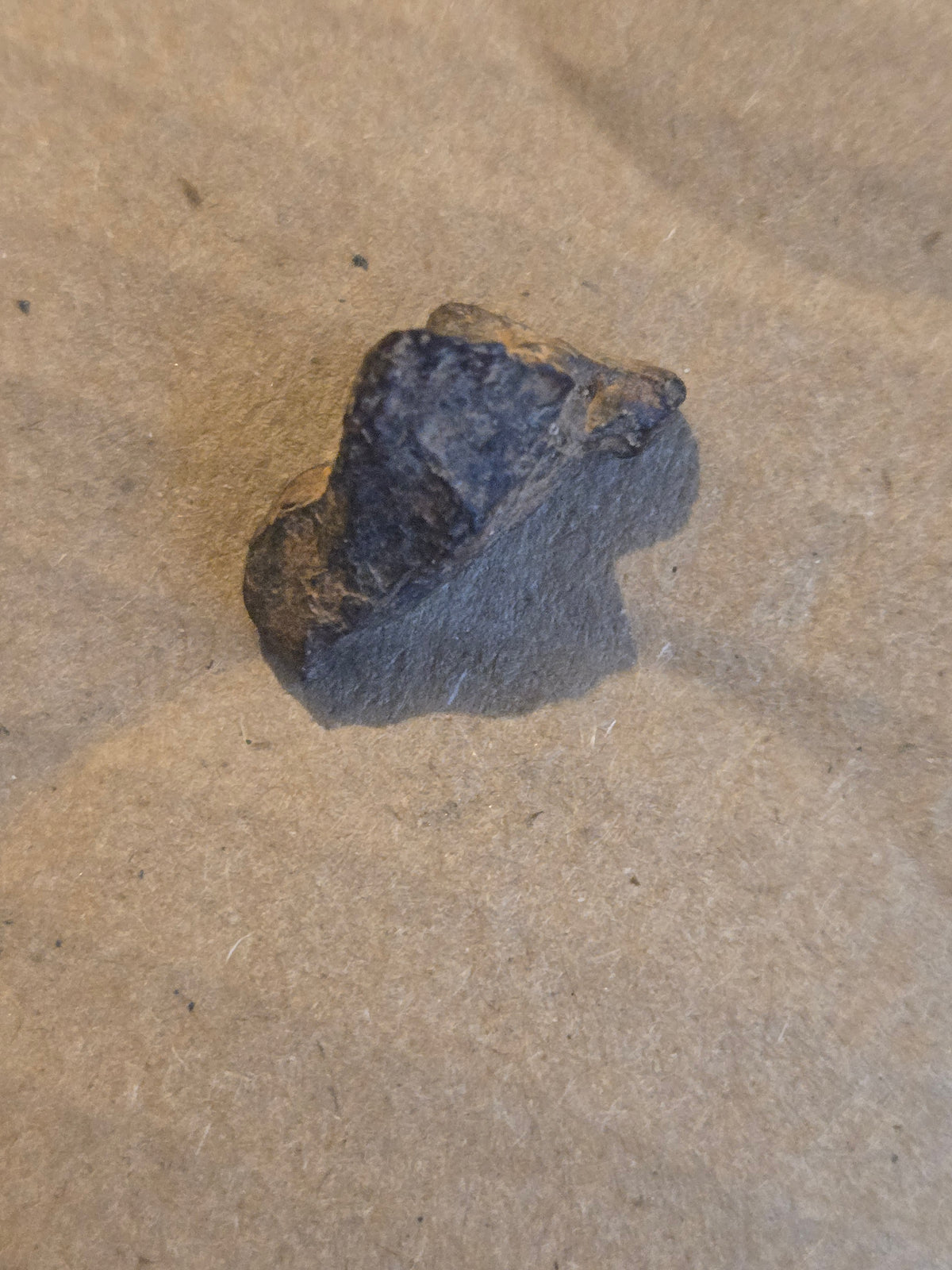 Agoudal meteorite