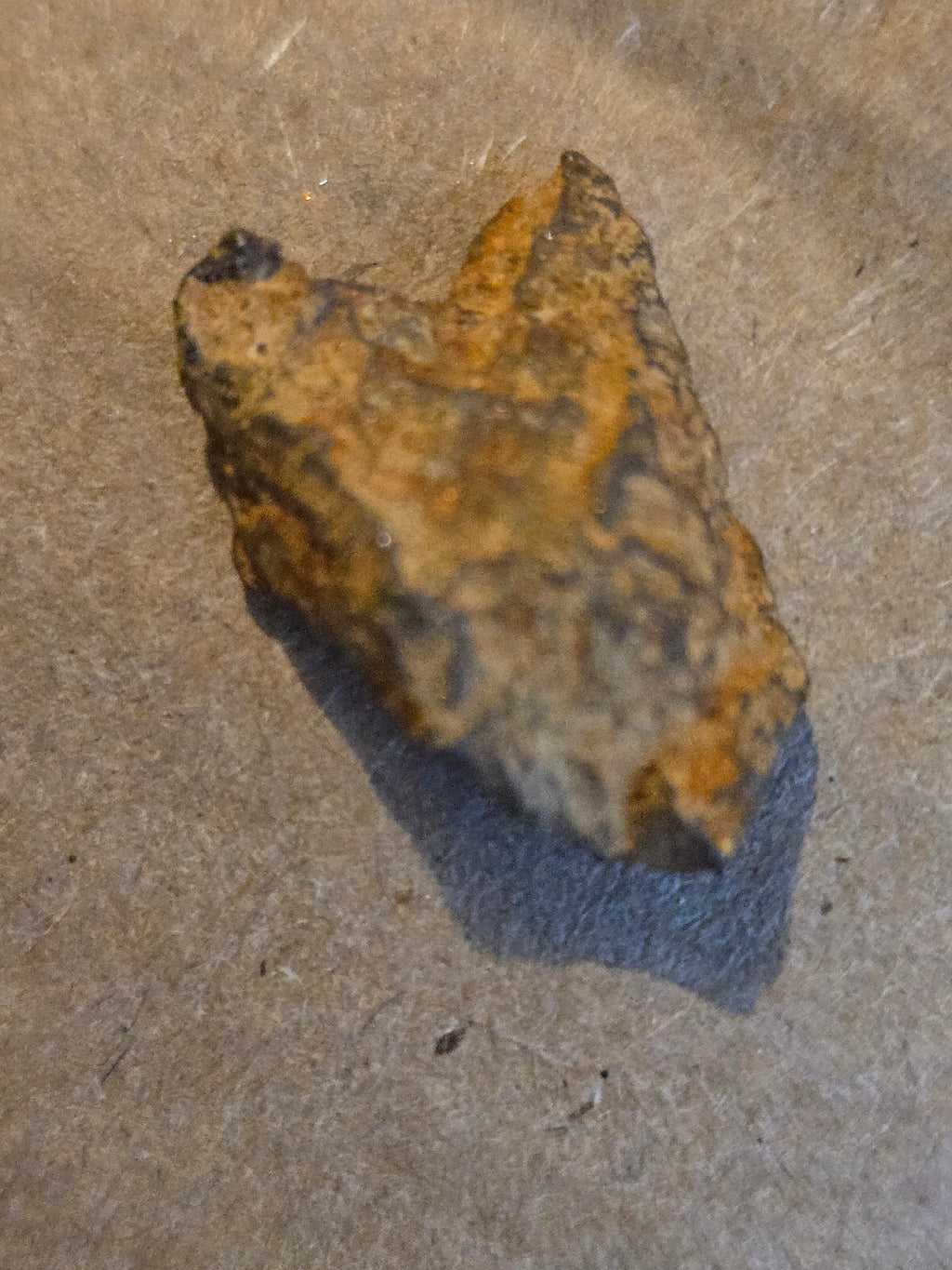 Gebel Kamil meteorite