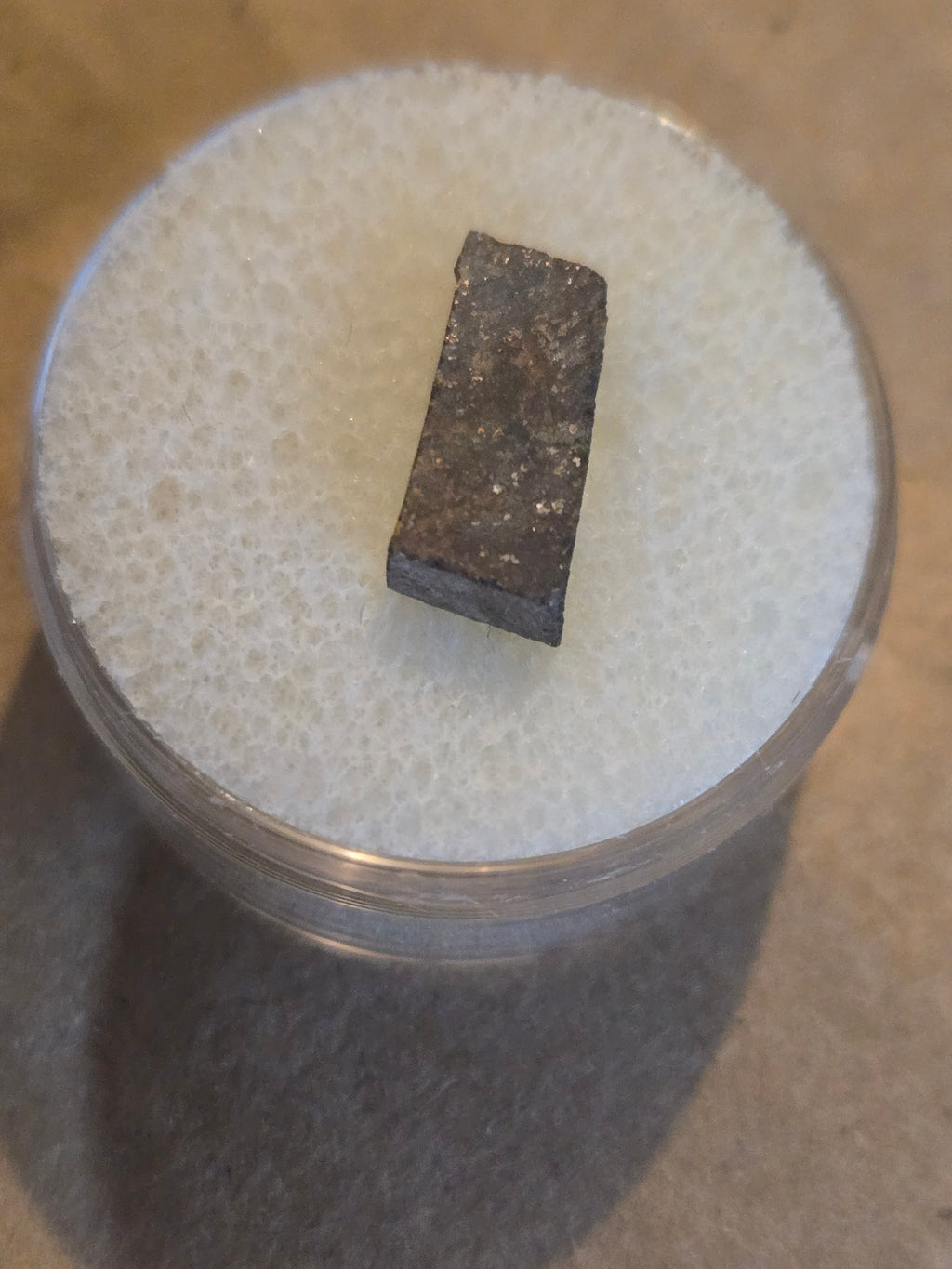 NWA 7368 Meteorite