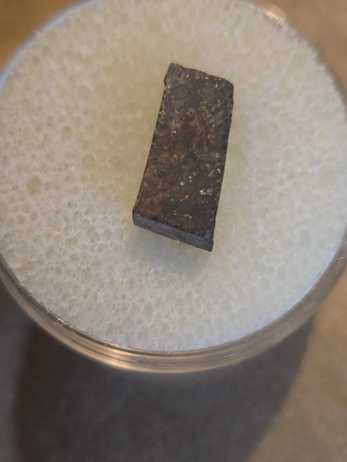 NWA 7368 Meteorite