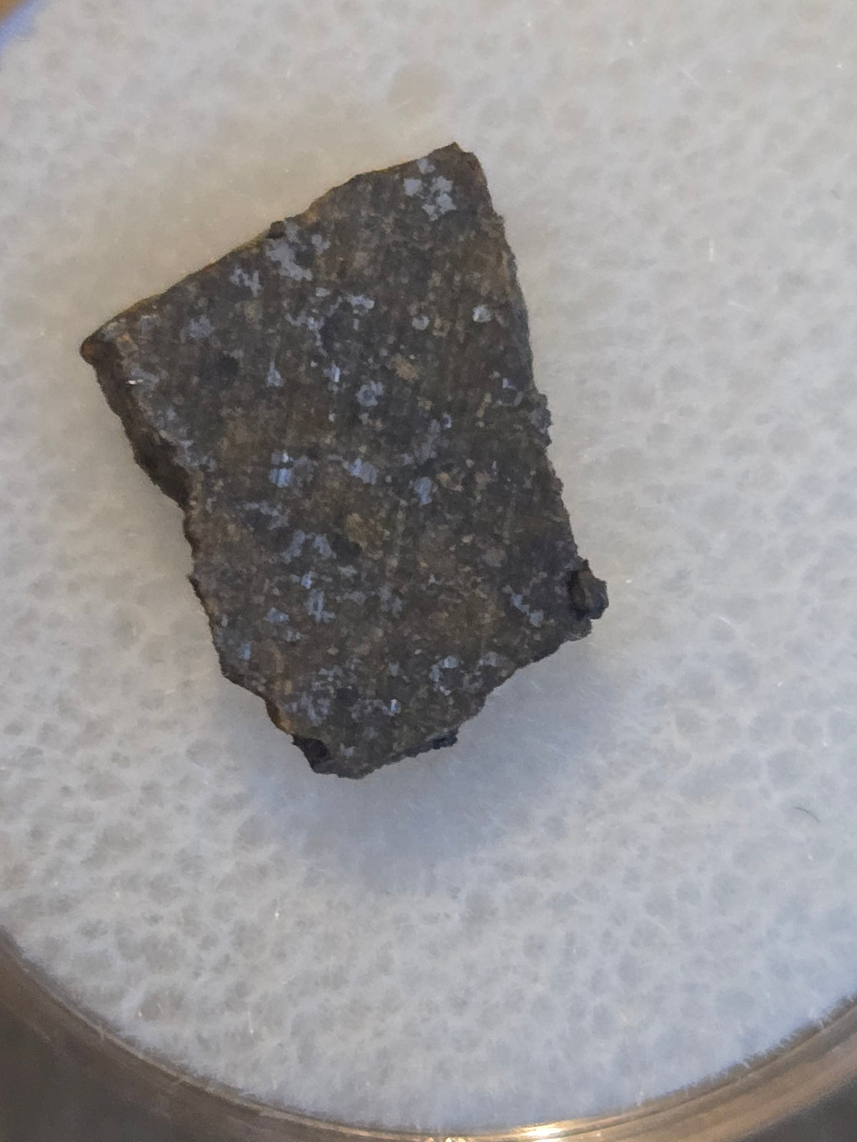 NWA 13917 Meteorite