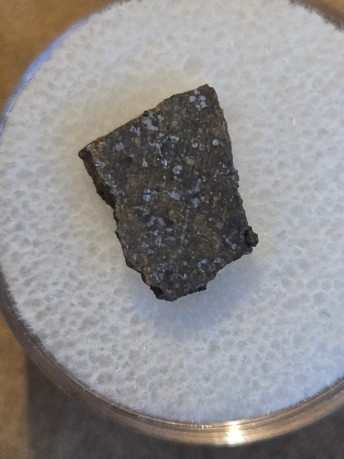 NWA 13917 Meteorite