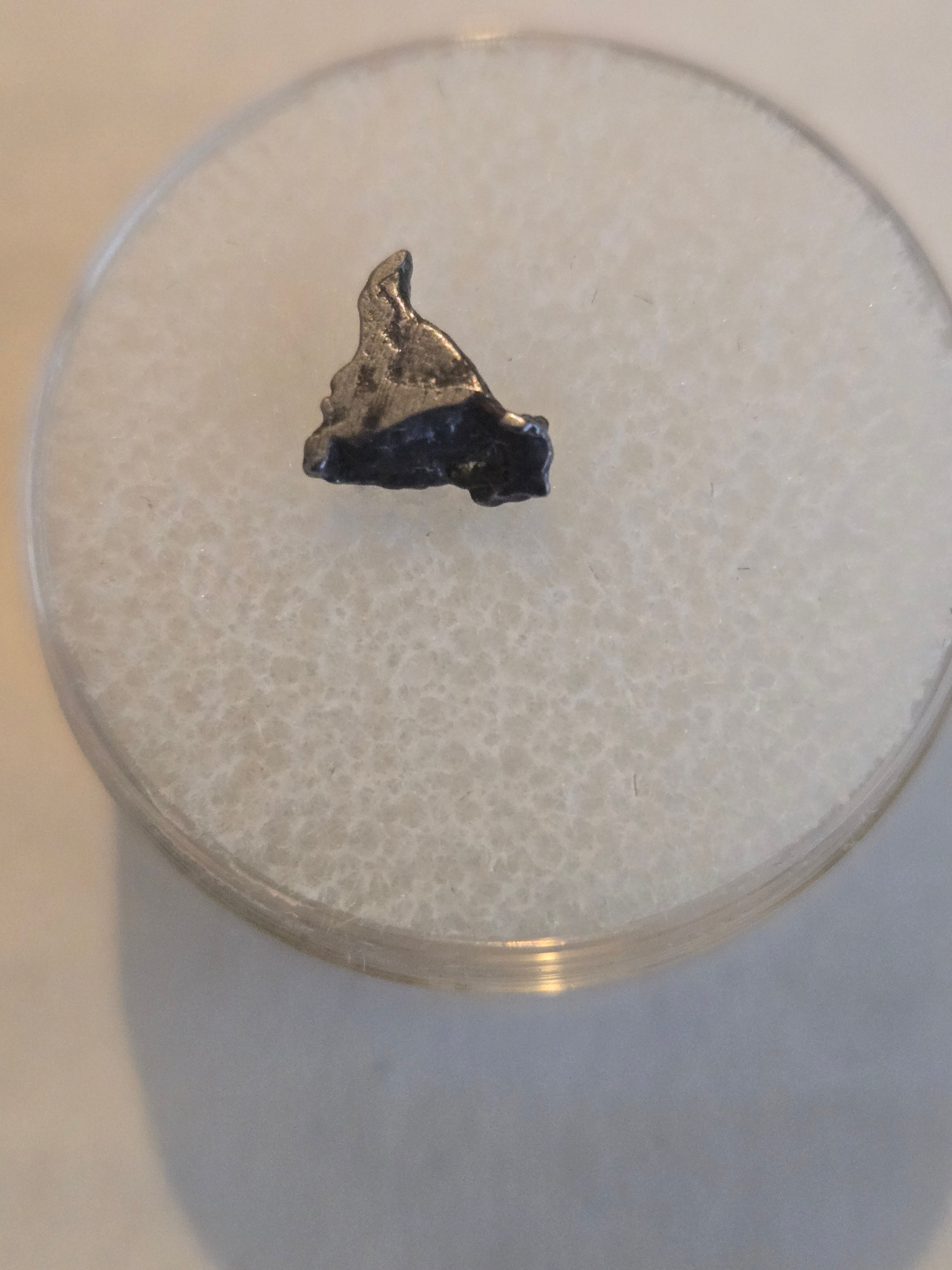 Admire iron meteorite