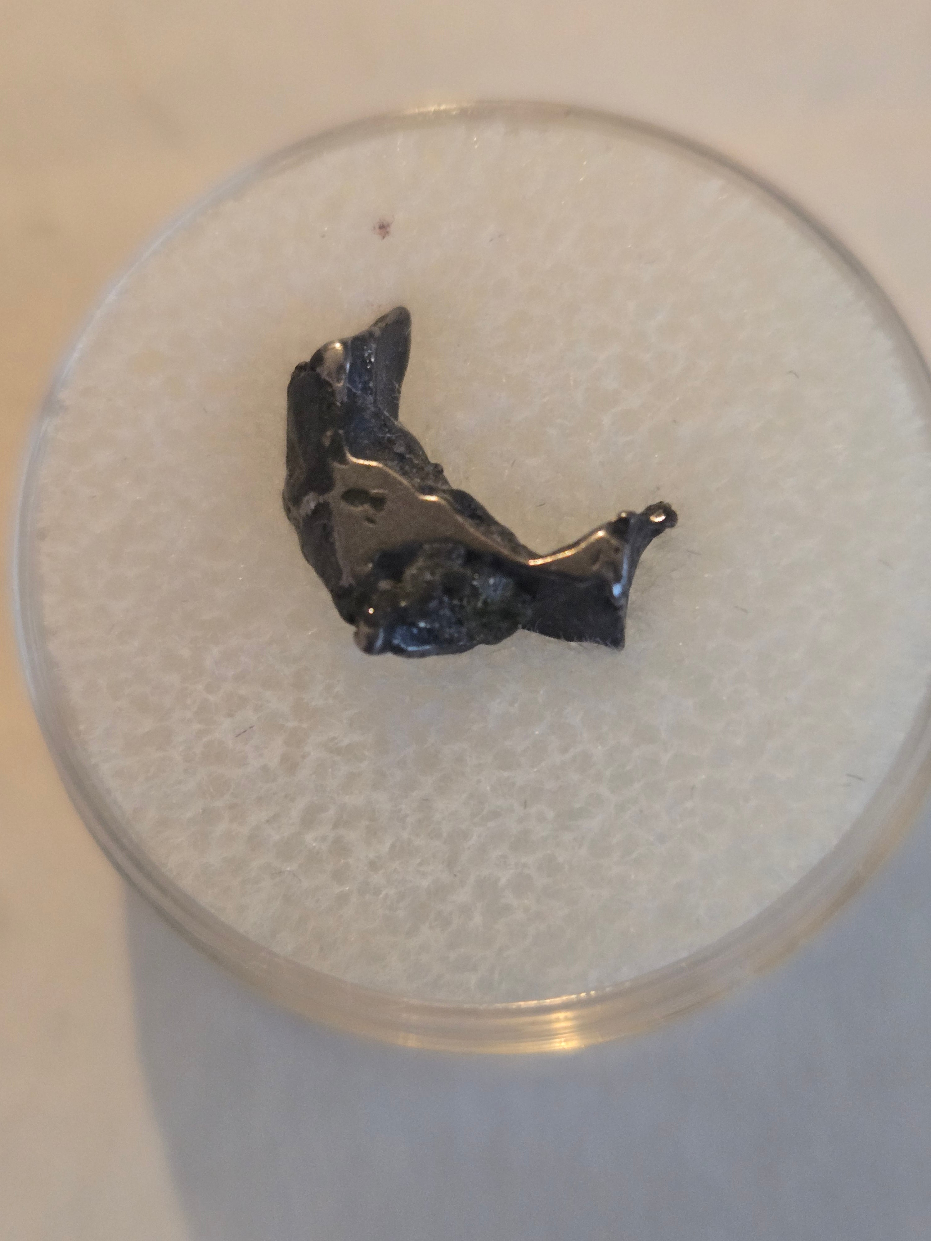 Admire iron meteorite