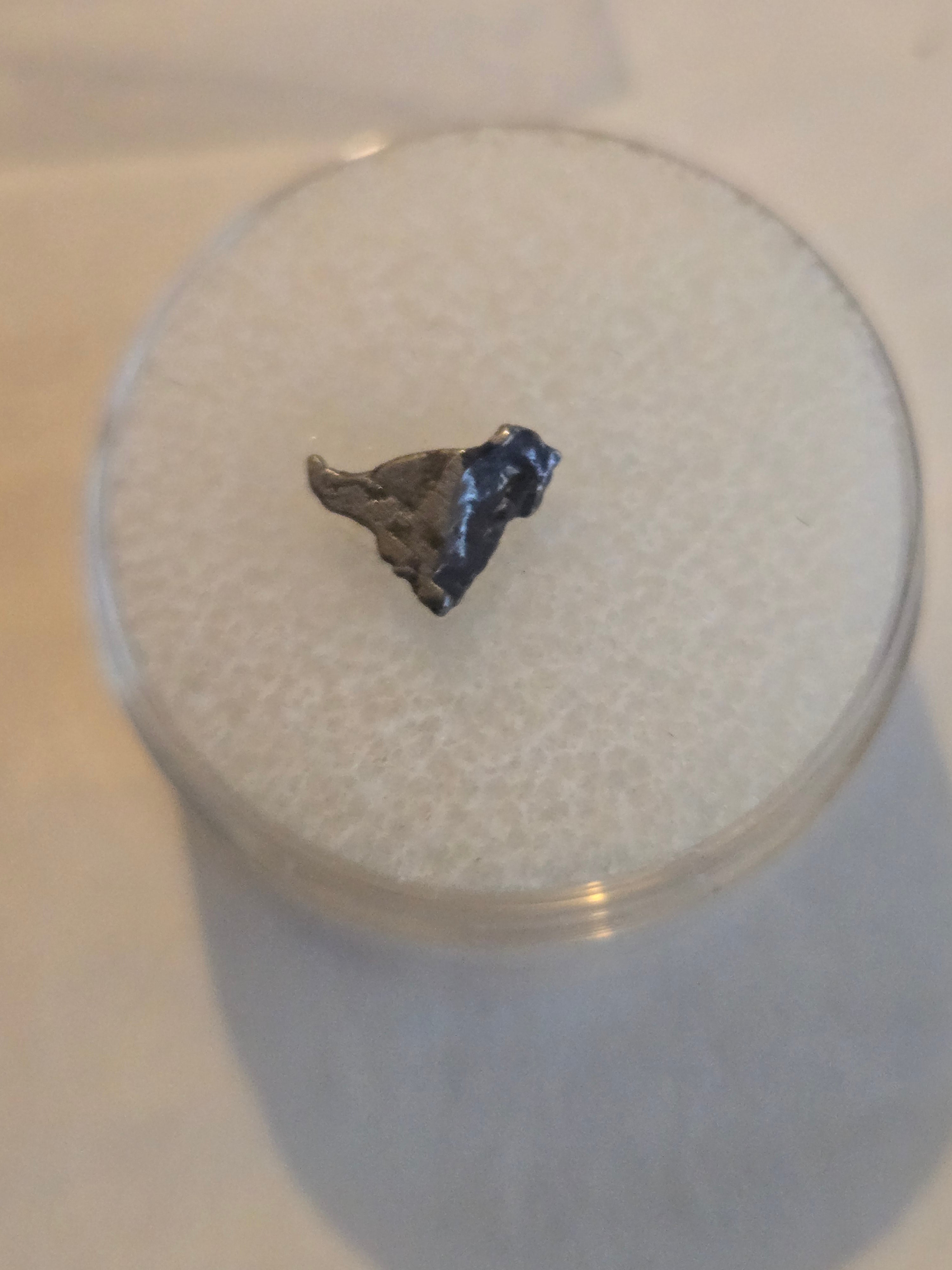 Admire iron meteorite