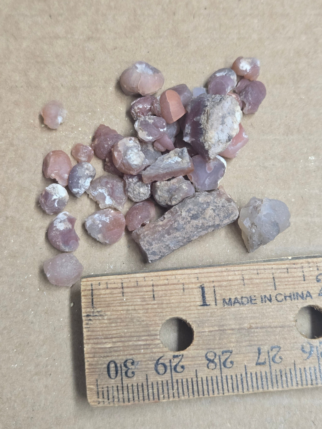 Agatized Gastropod Lot