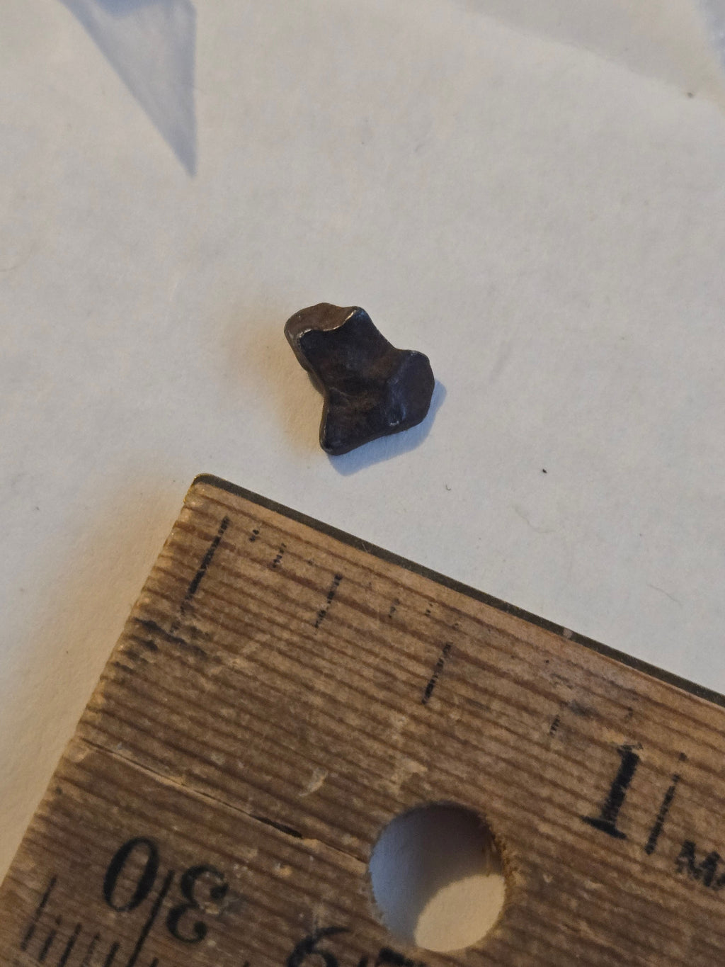 Agoudal meteorite