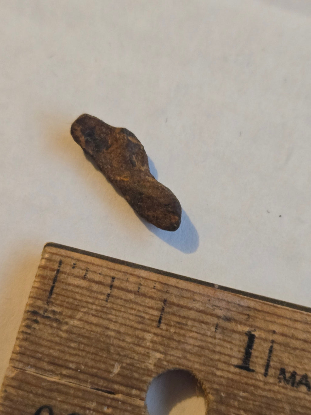 Agoudal meteorite