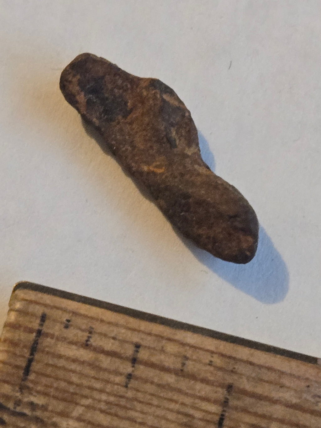 Agoudal meteorite