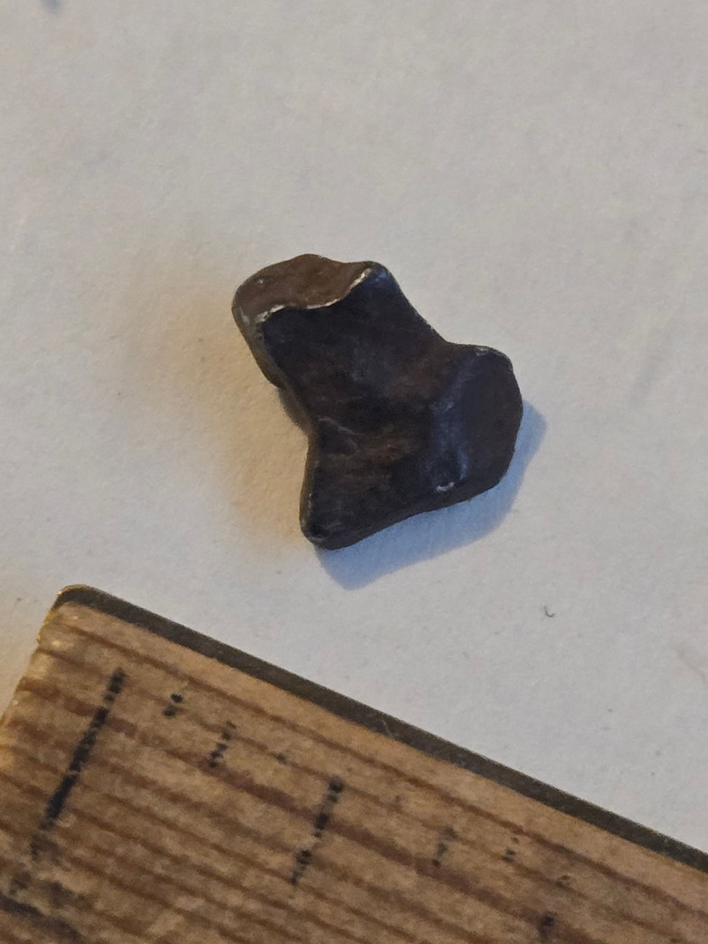 Agoudal meteorite