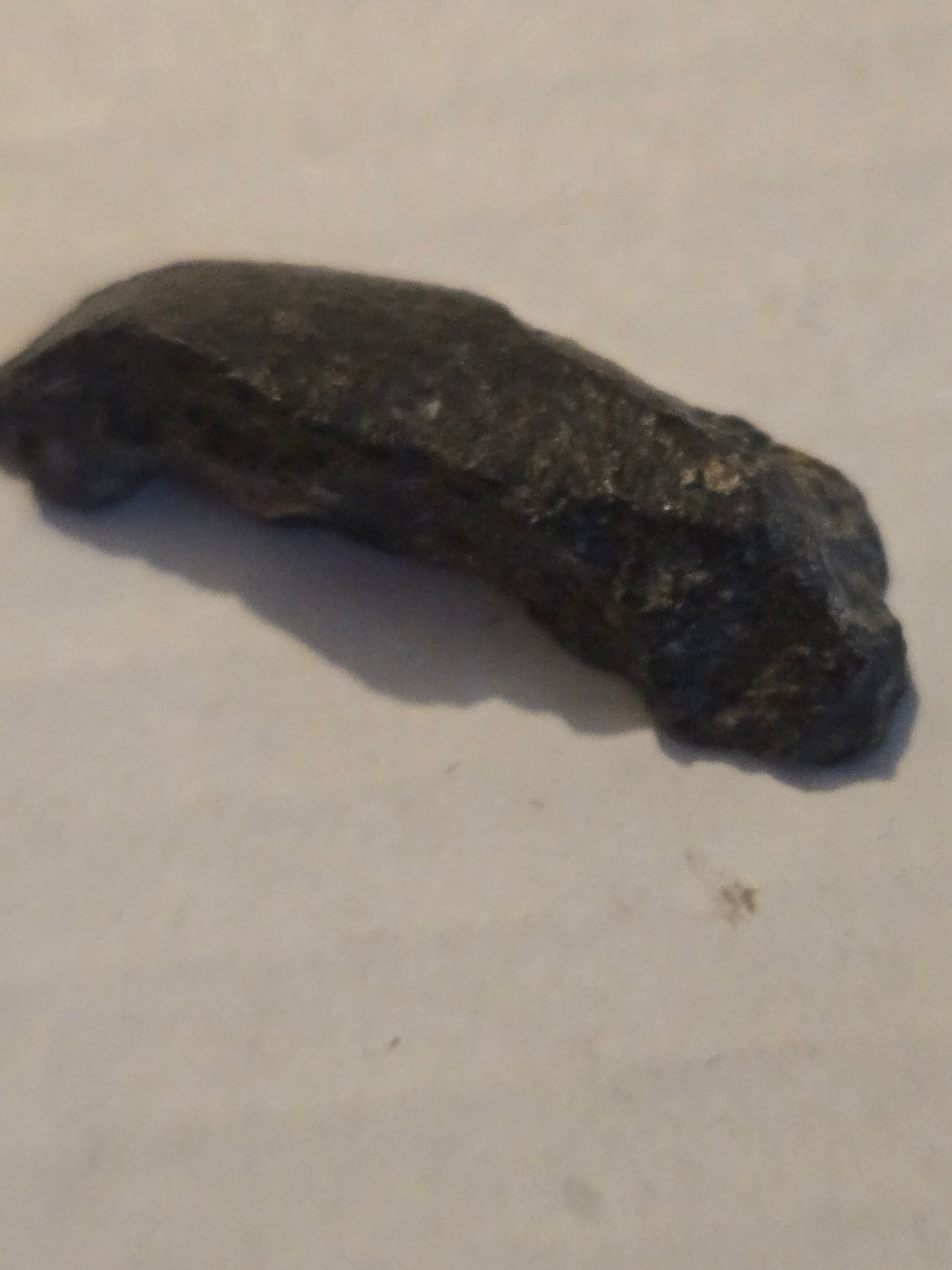 Agoudal meteorite specimen