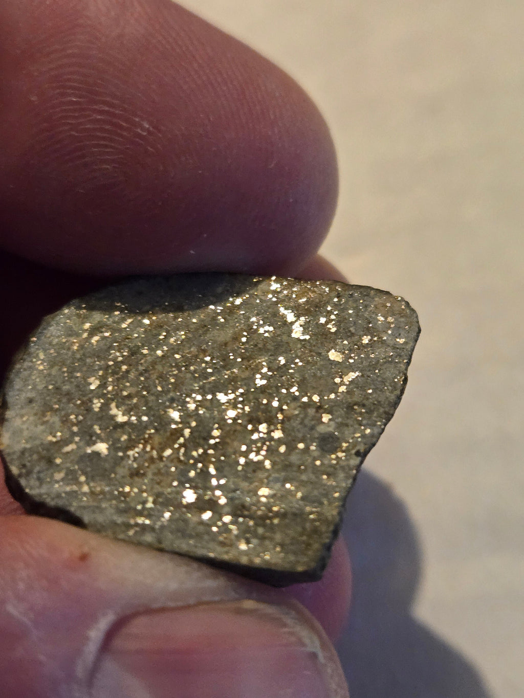 Agoudal meteorite specimen