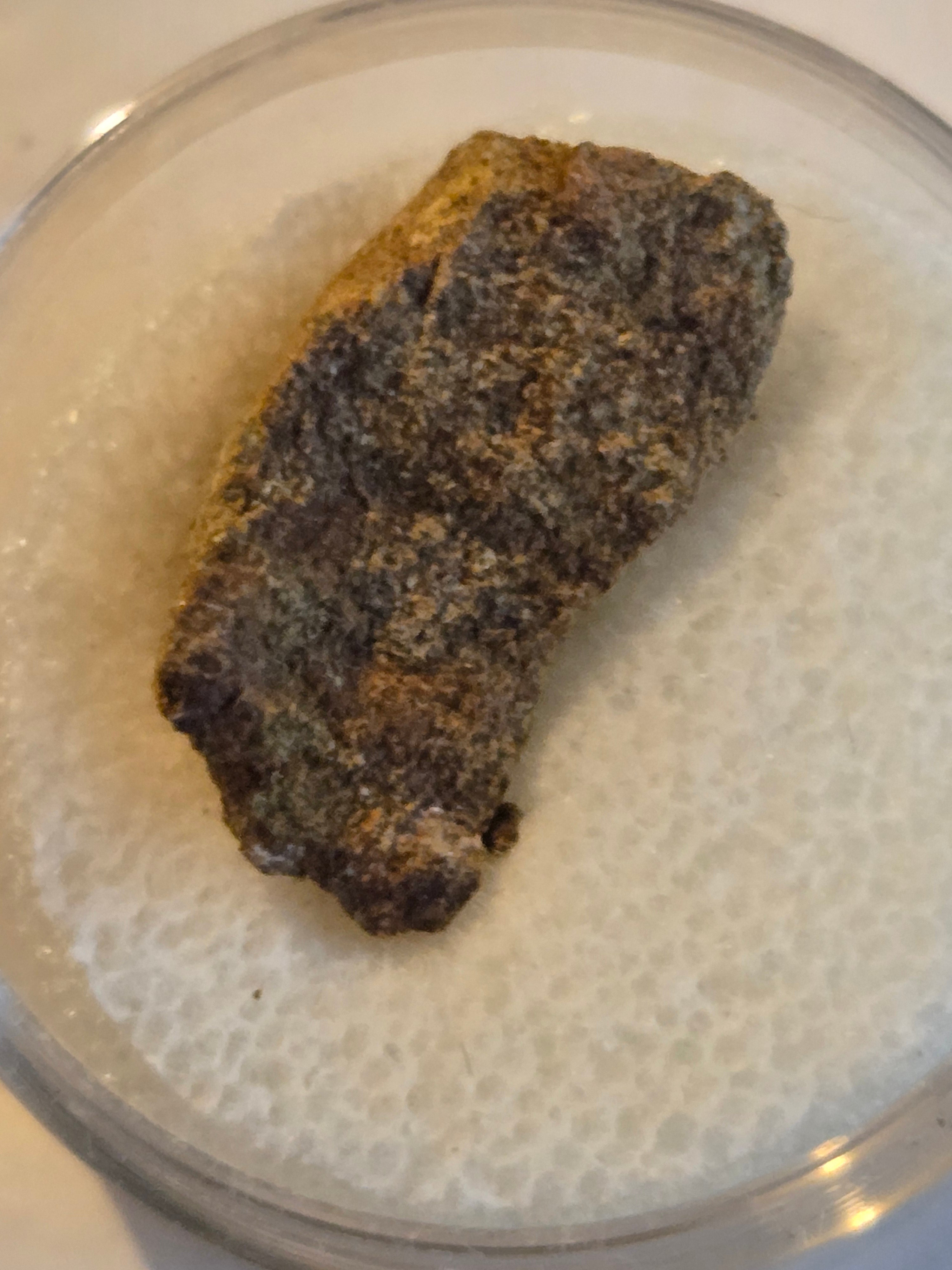 Al Haggounia 001 meteorite - Adam's Minerals LLC