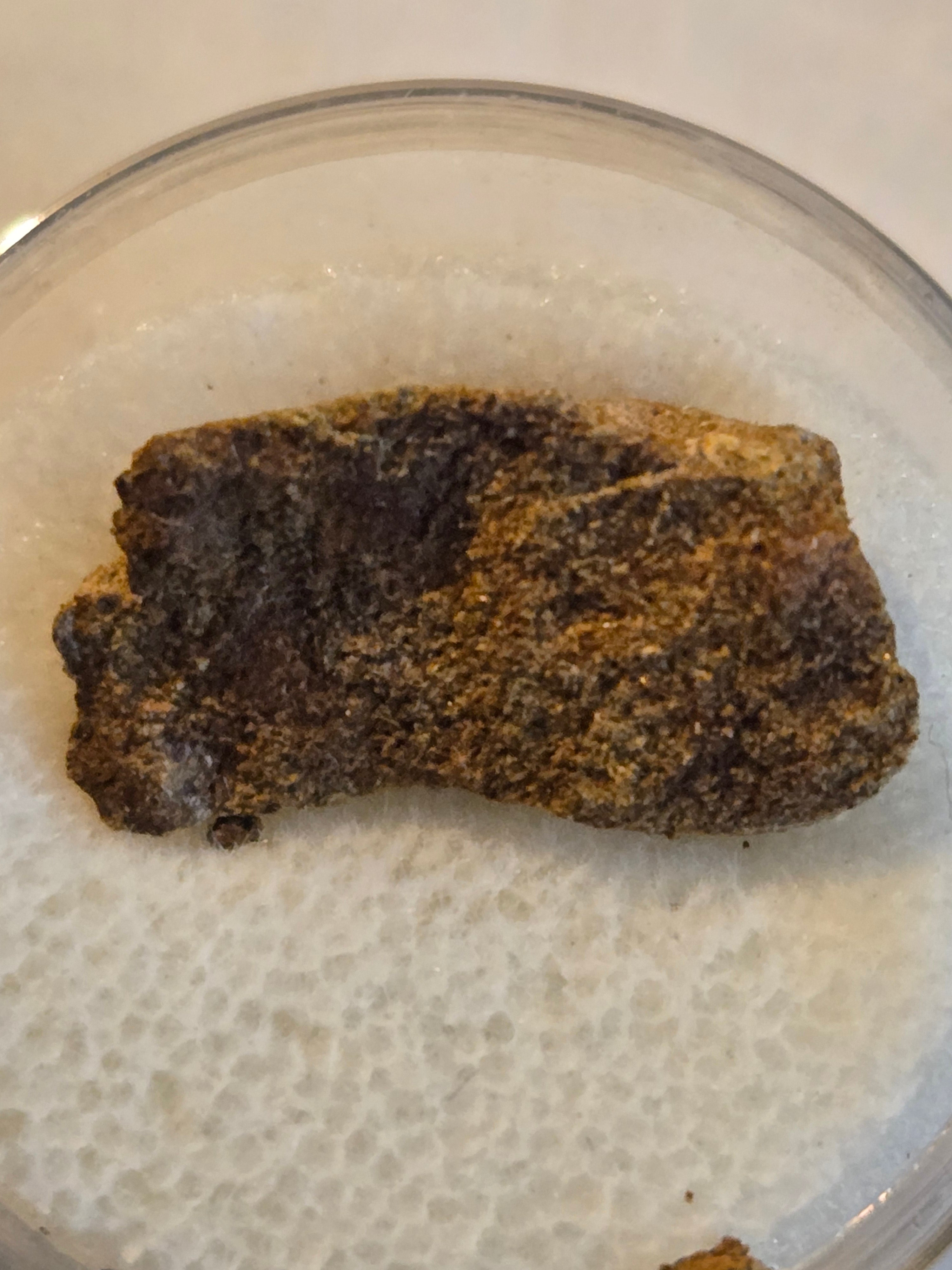 Al Haggounia 001 meteorite - Adam's Minerals LLC