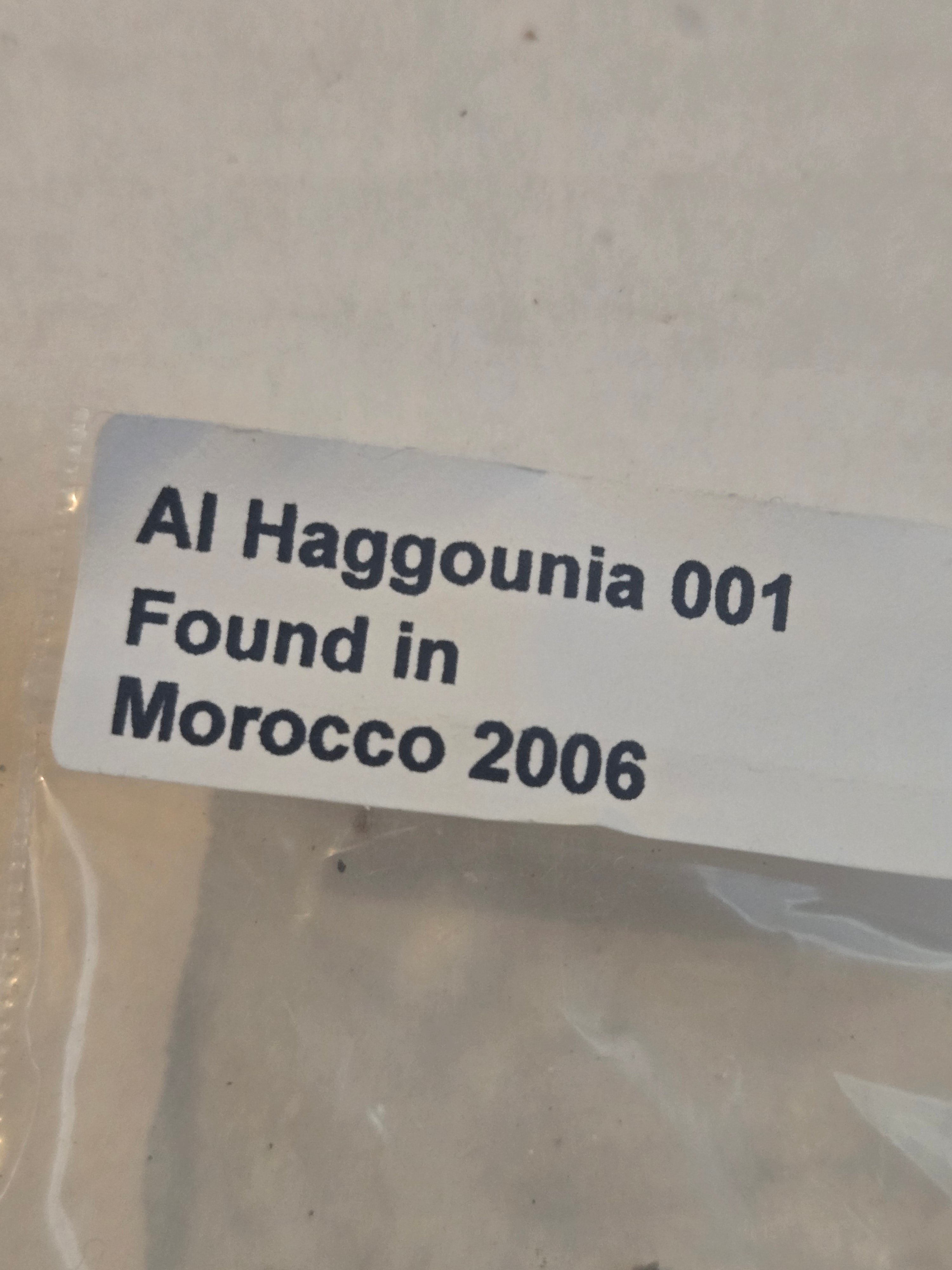 Al Haggounia 001 meteorite