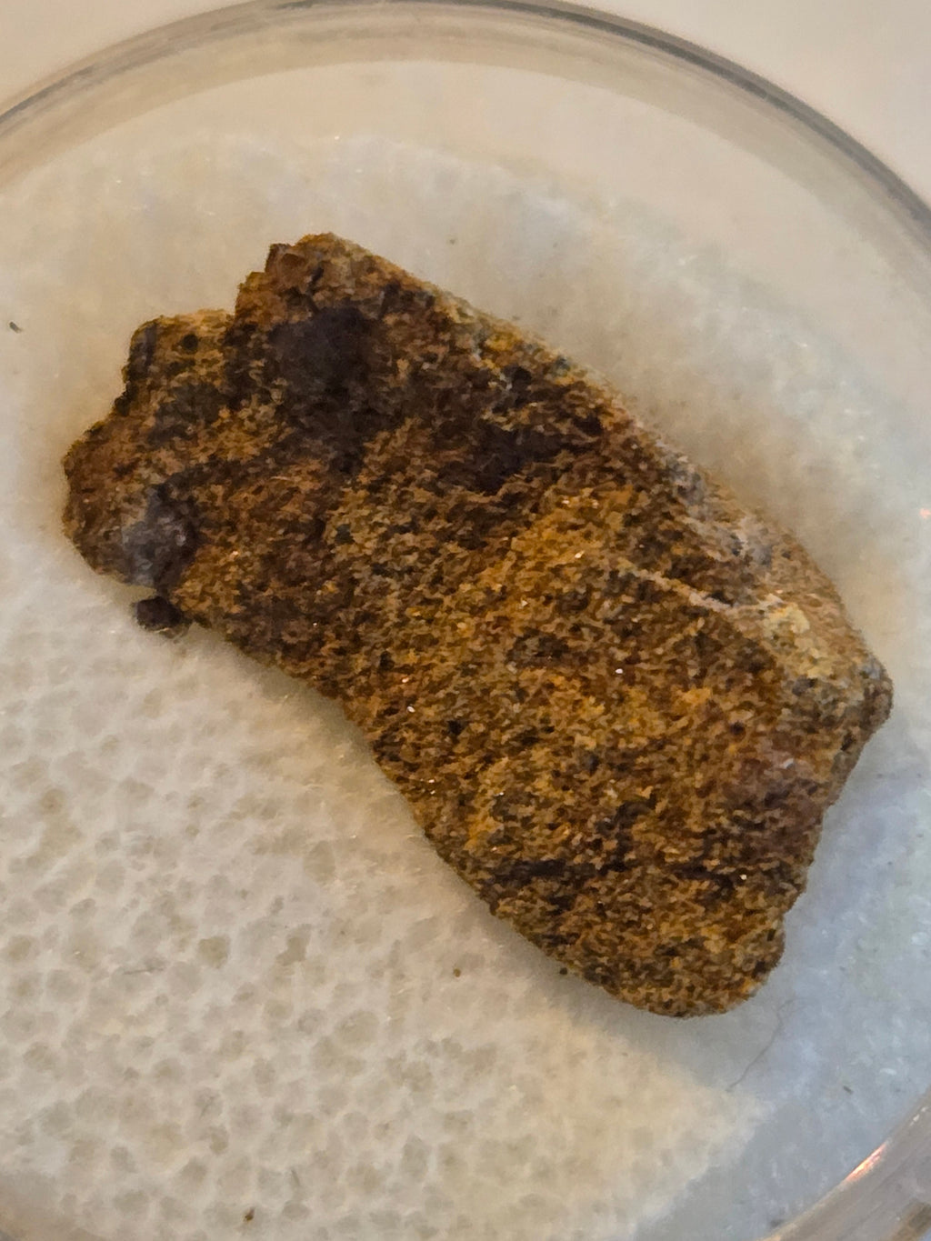 Al Haggounia 001 meteorite - Adam's Minerals LLC