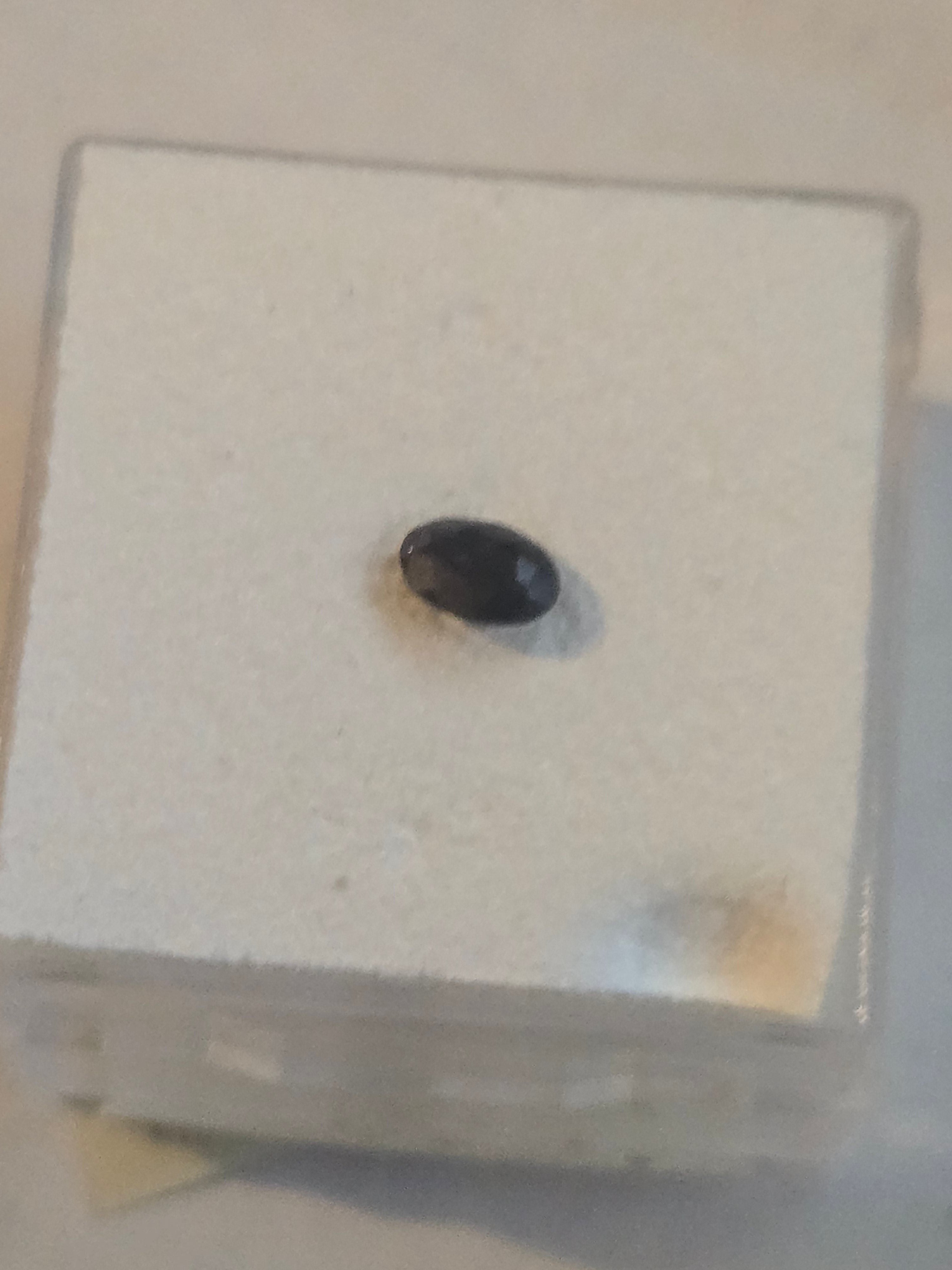 Alexandrite oval facet