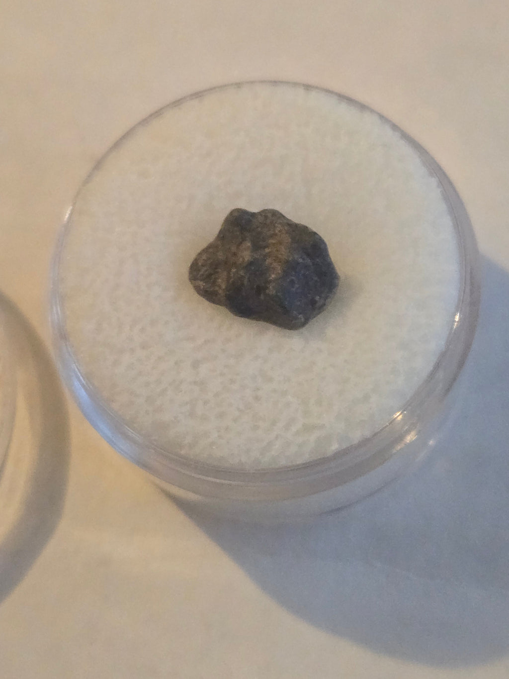 Amgala 001 Martian shergottite