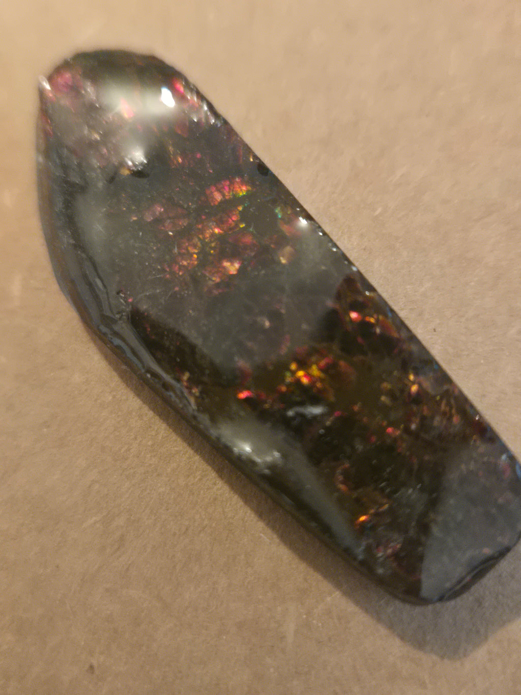 Ammolite specimen