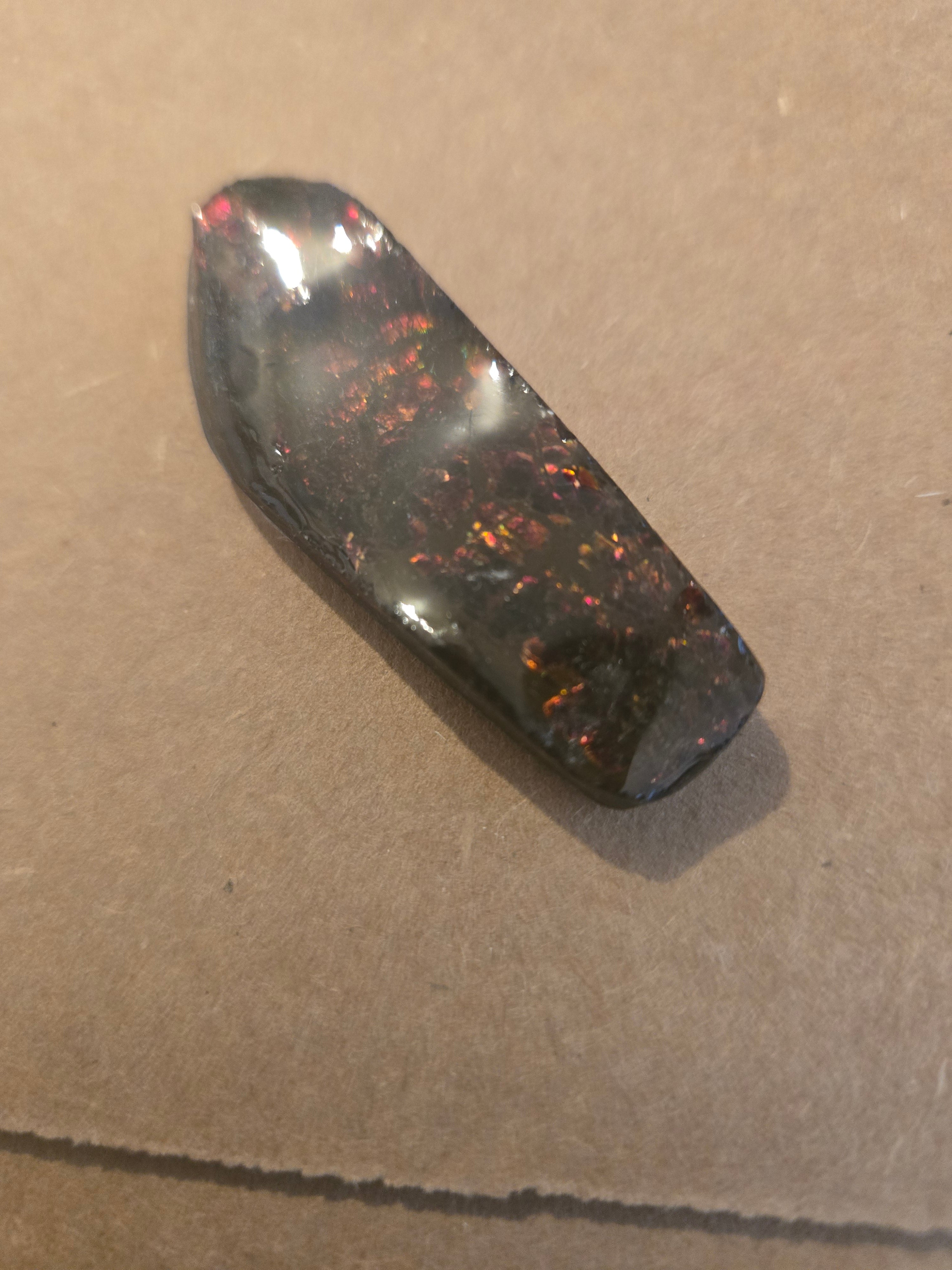 Ammolite specimen