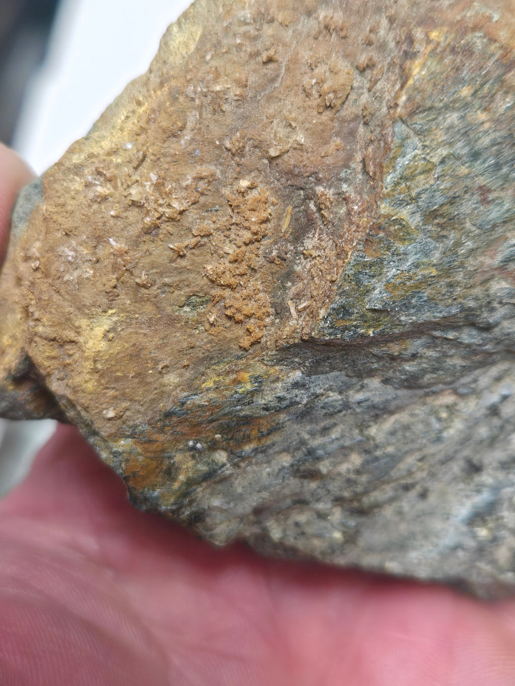 Ammoniojarosite
