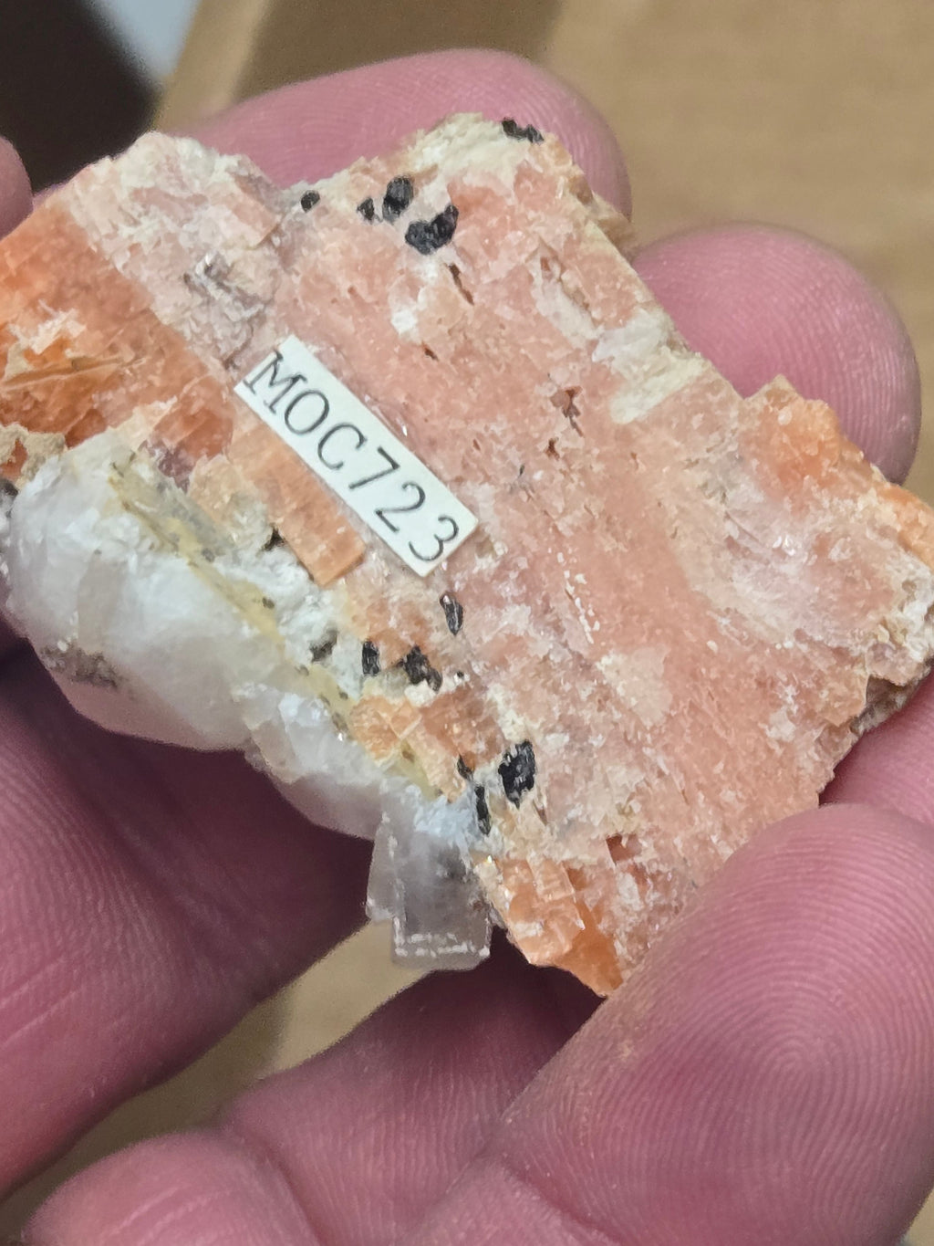 Analcime on Serandite