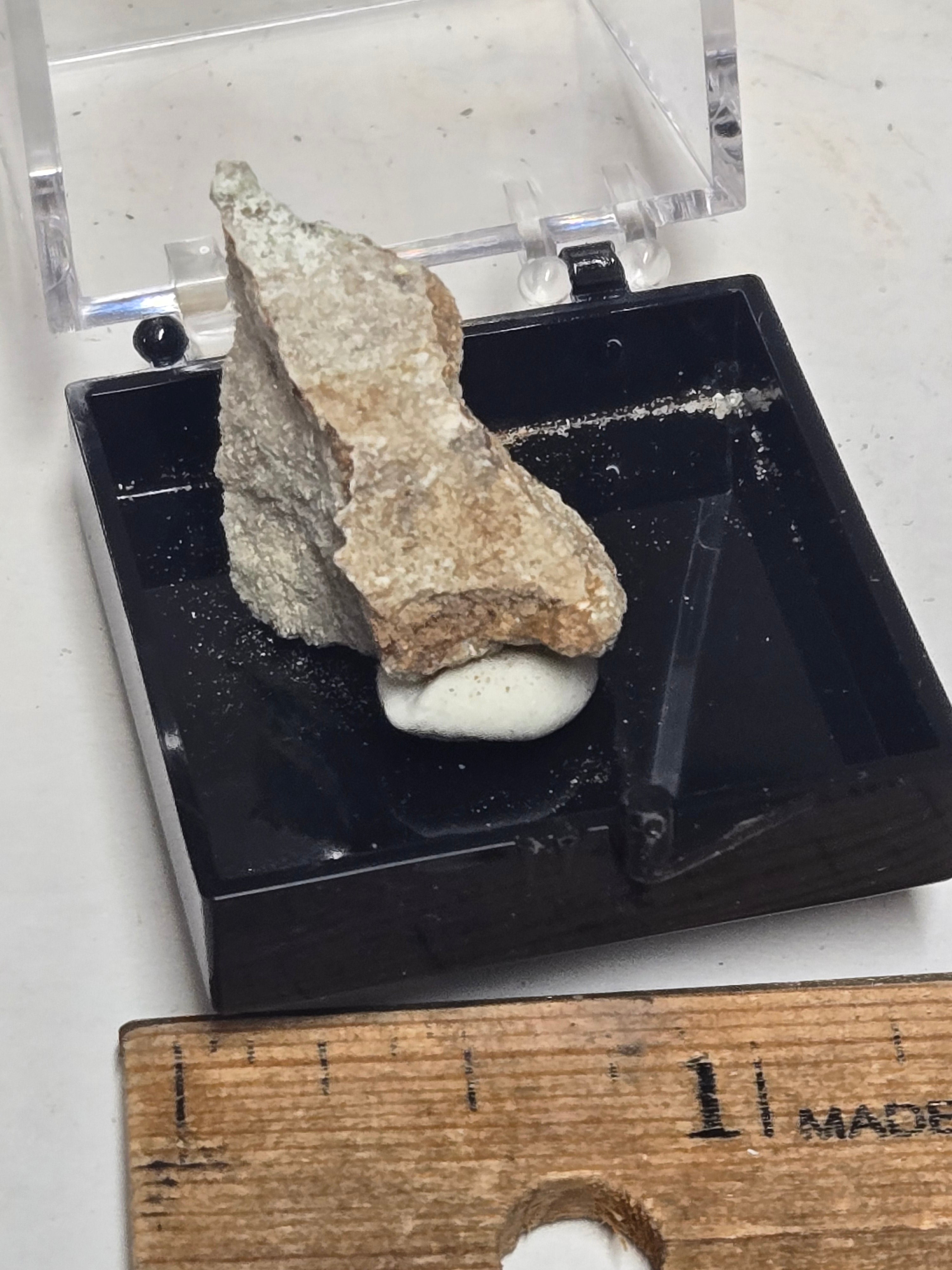 Andersonite