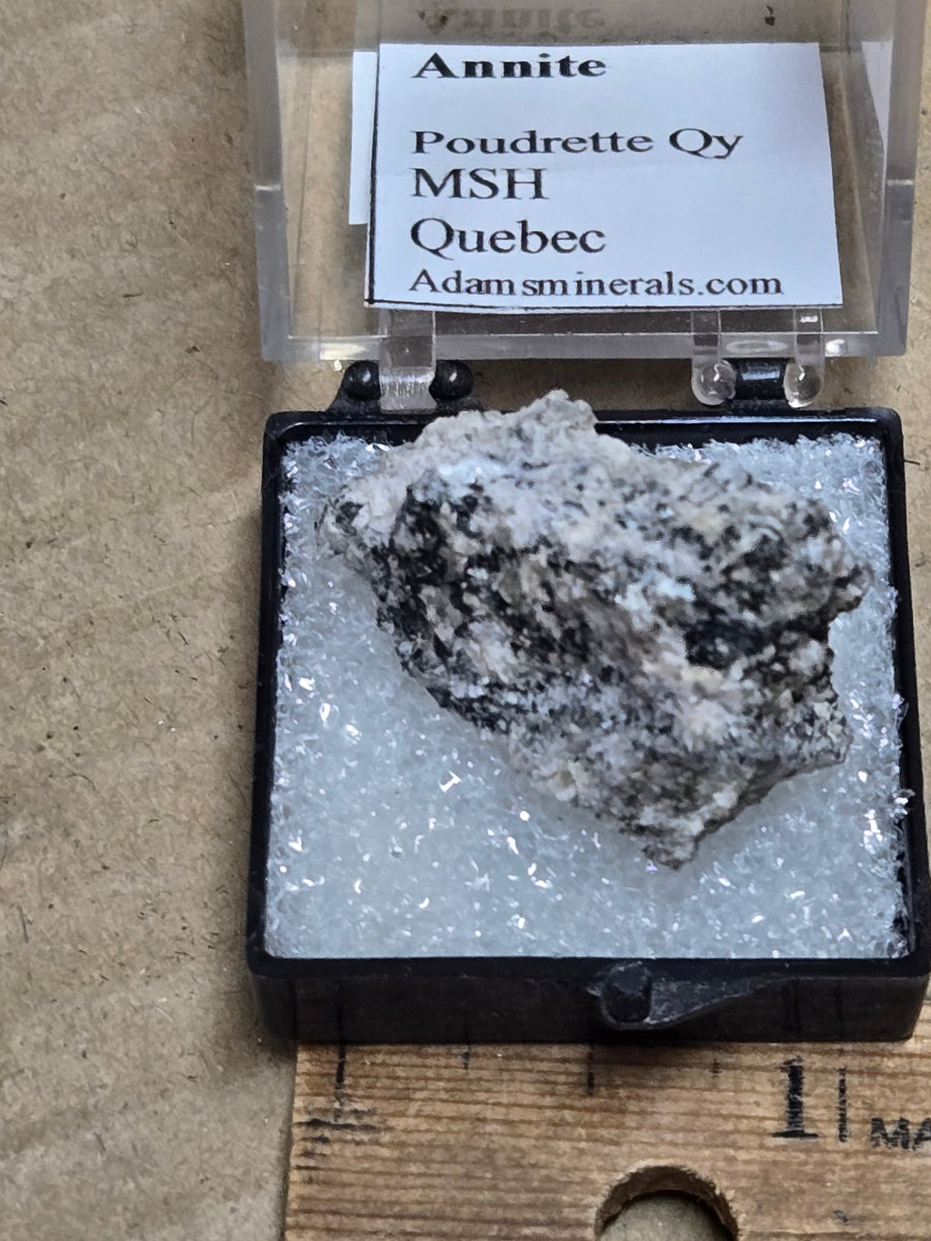 Annite mica