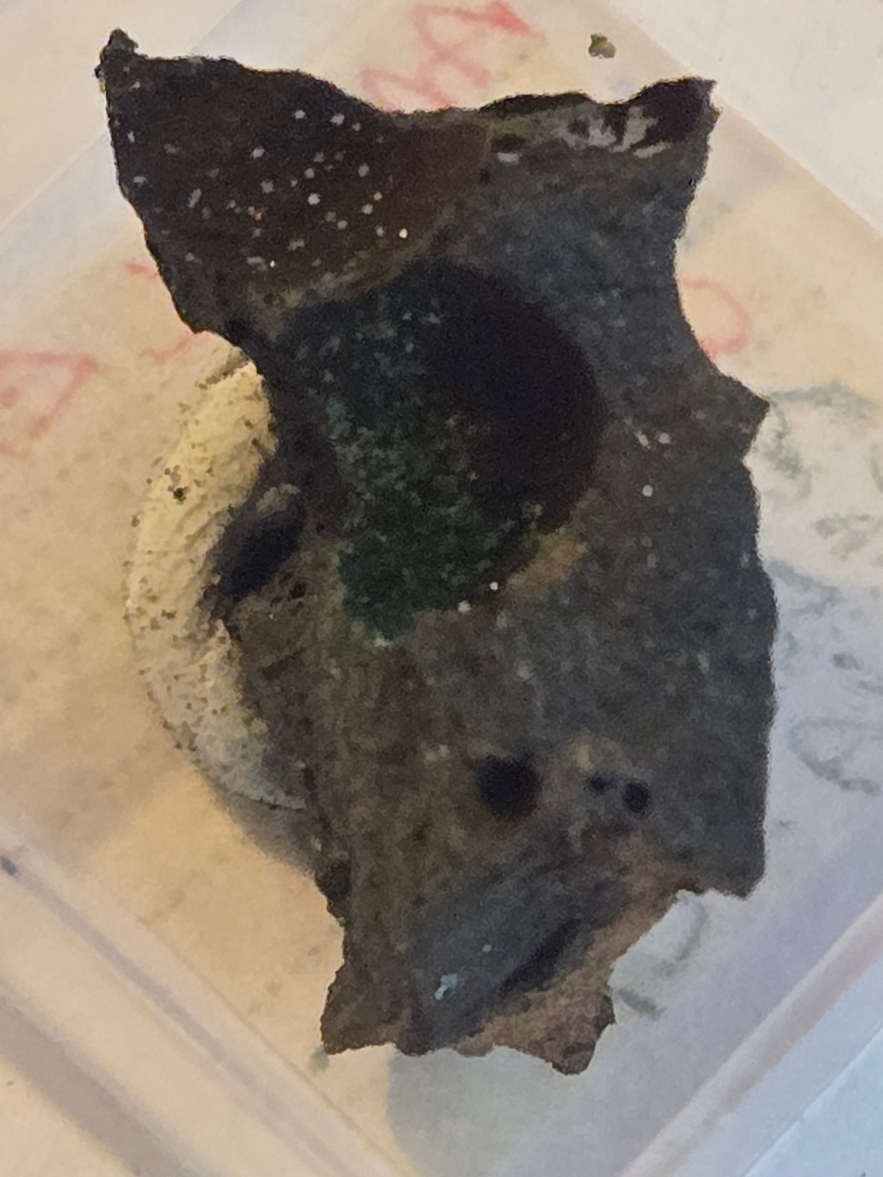 Antlerite